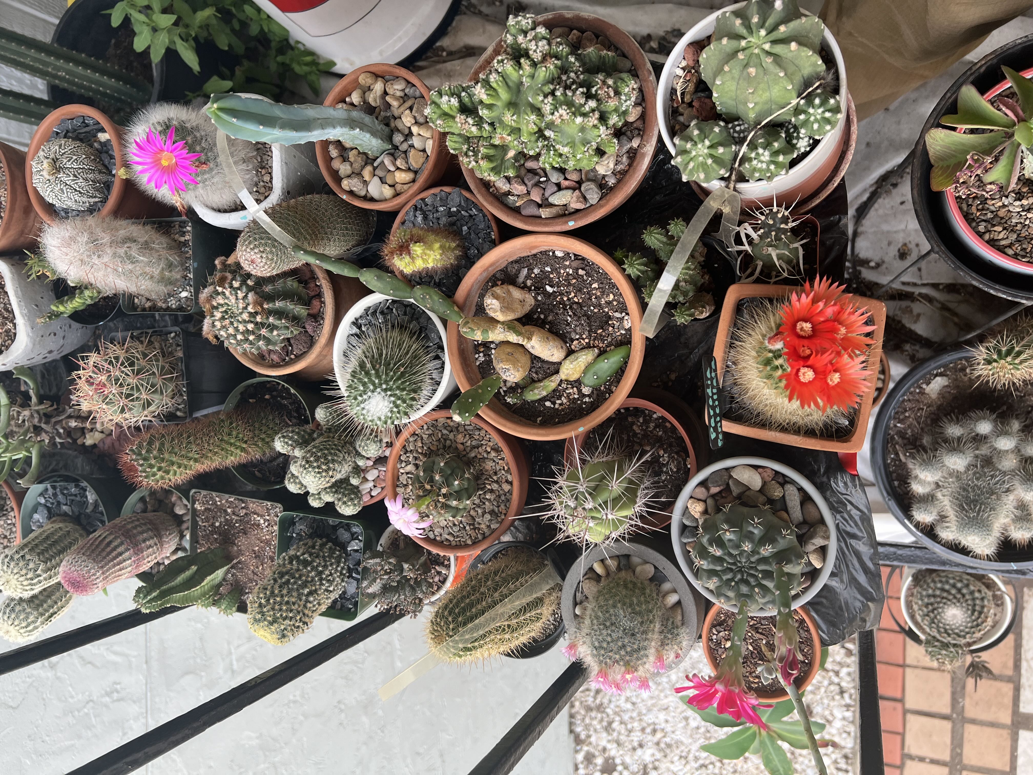 Photo from the post