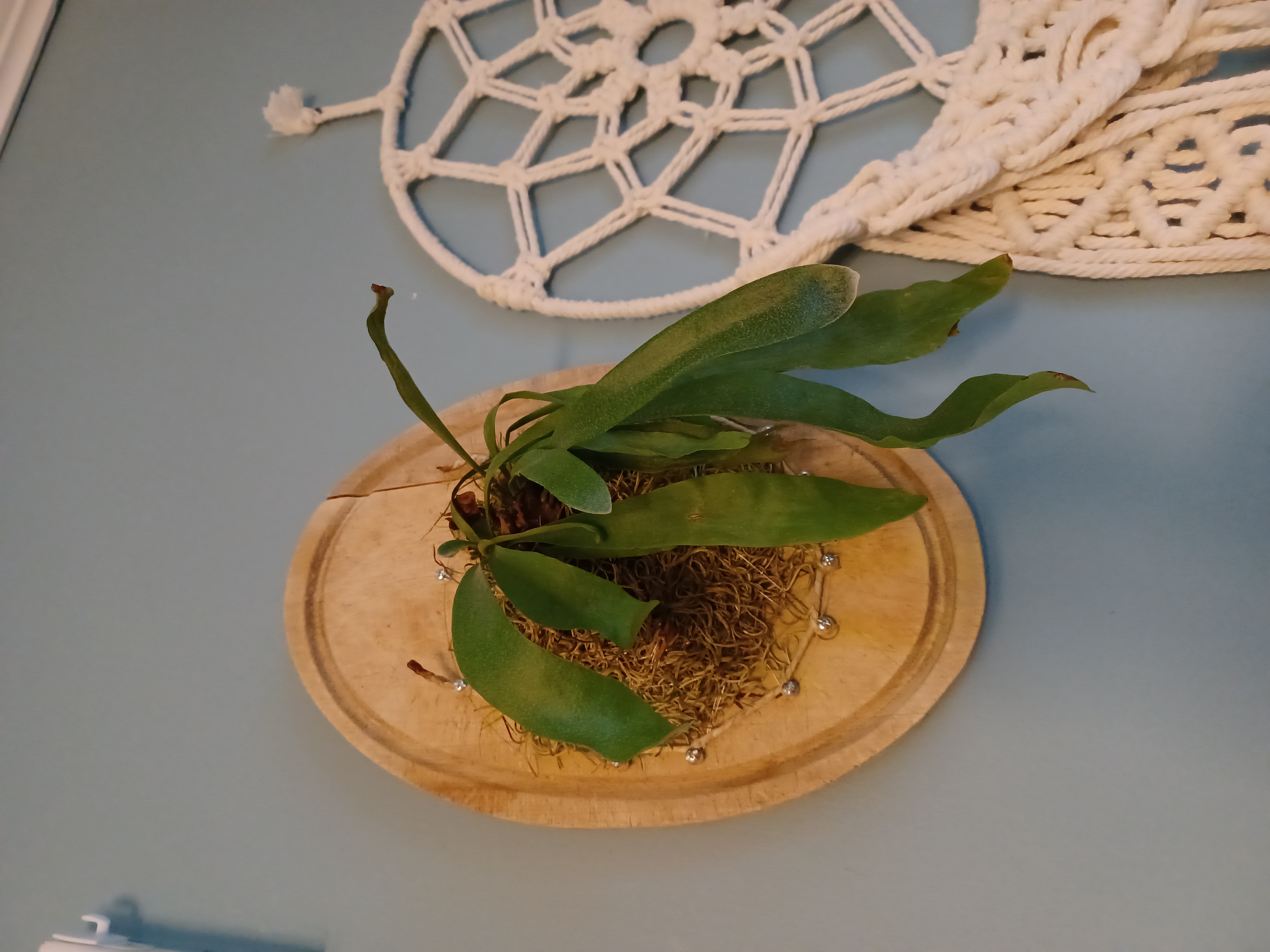 Photo from the post