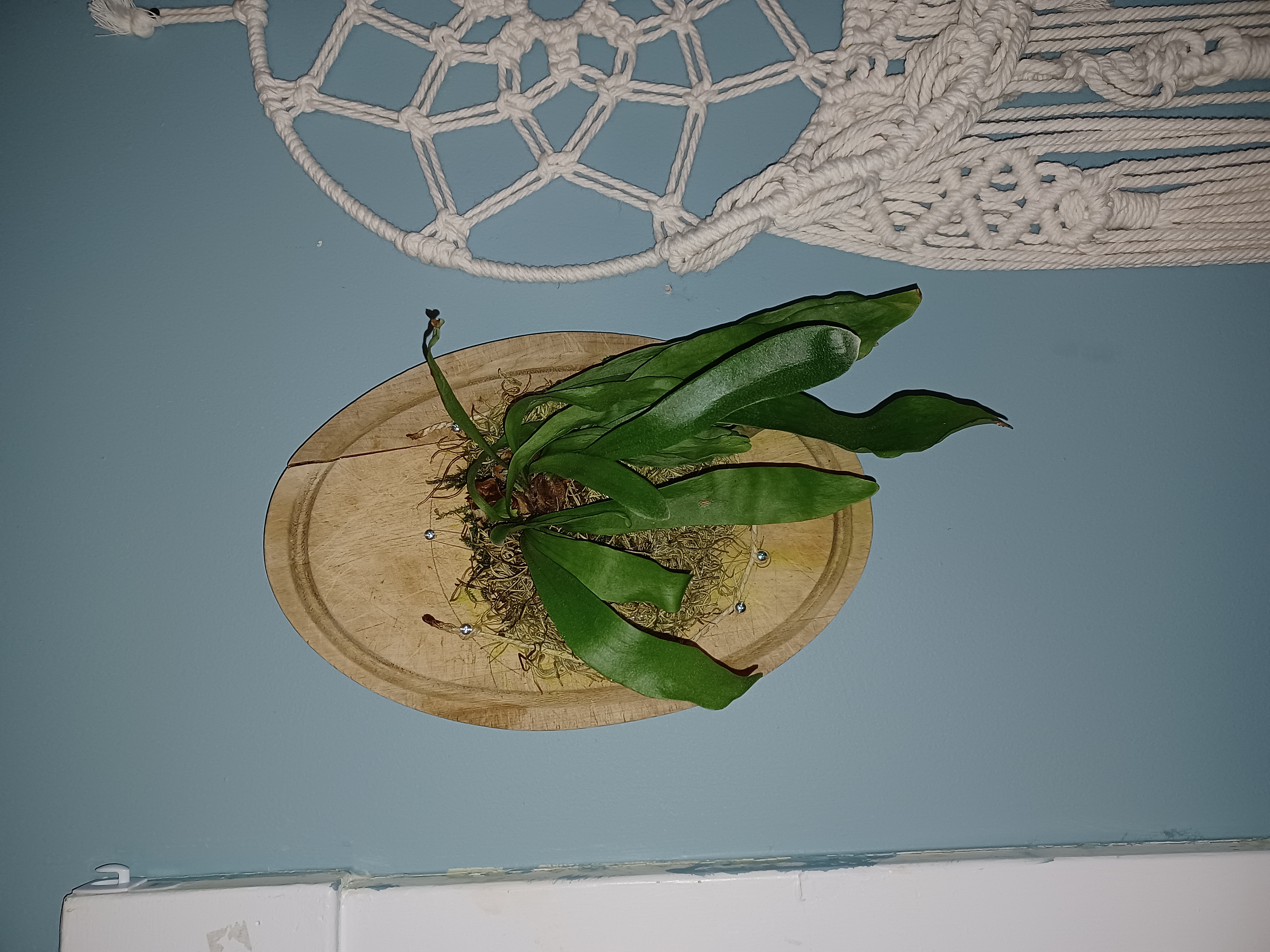 Photo from the post