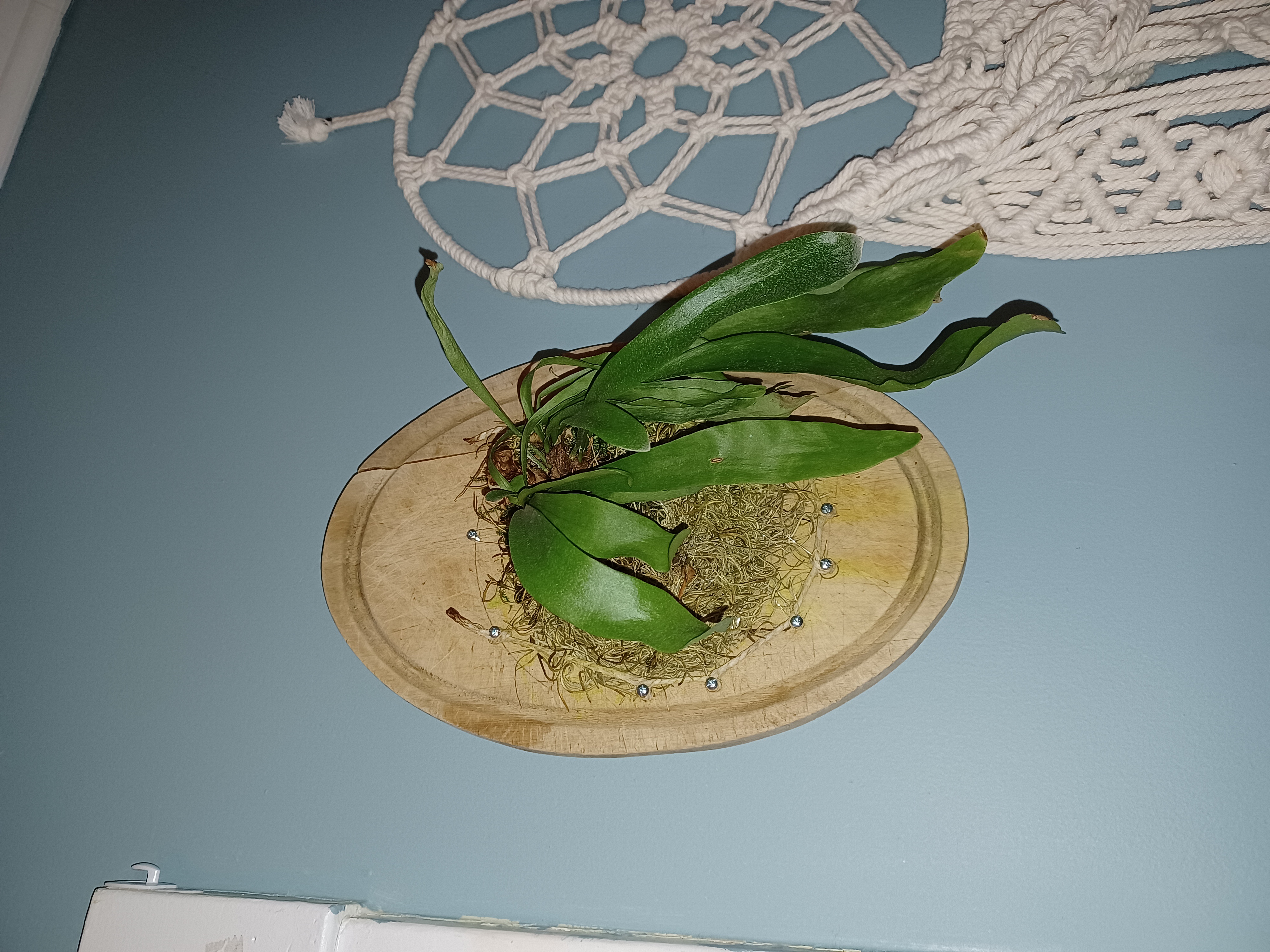 Photo from the post