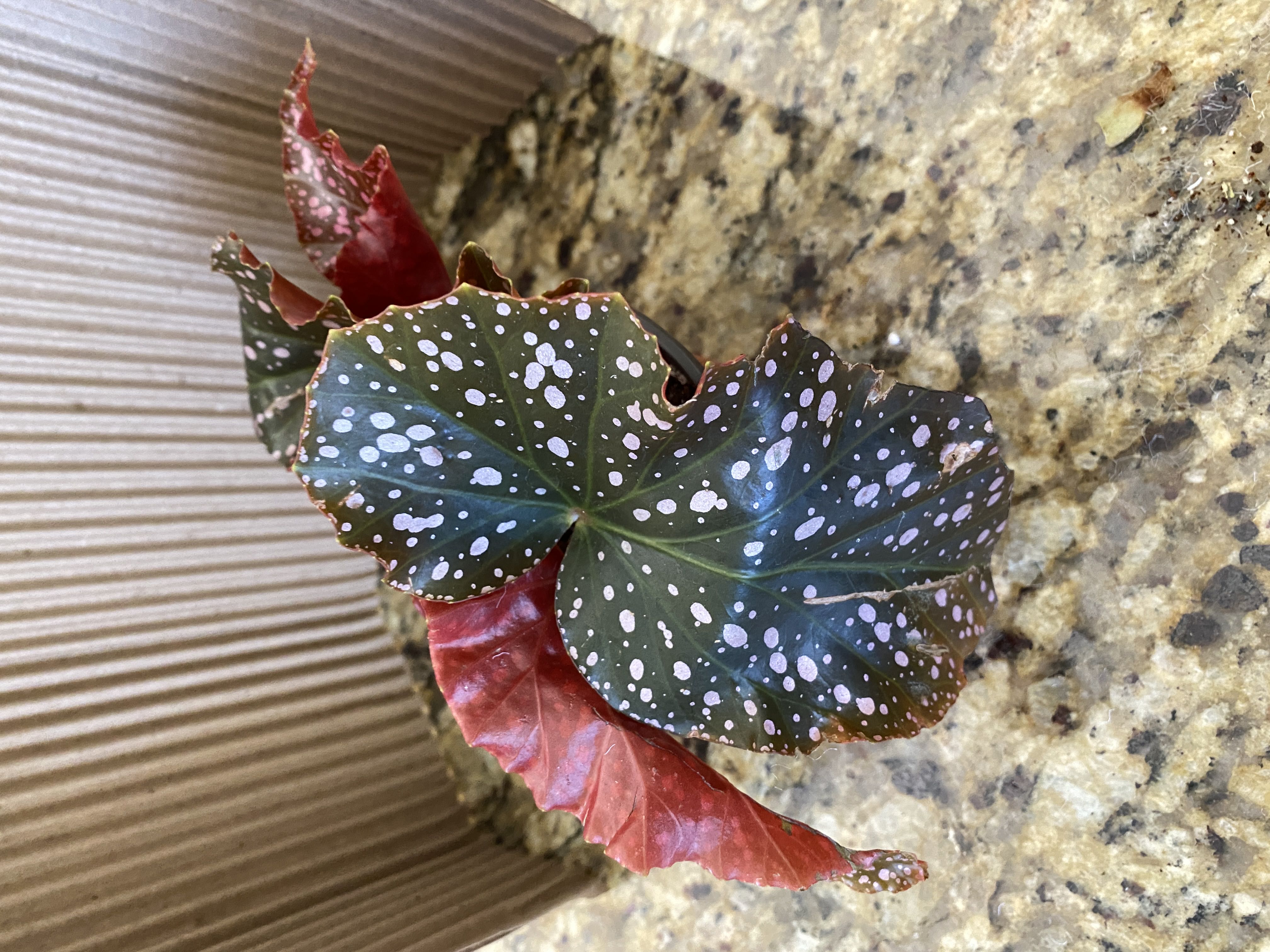 Photo from the post