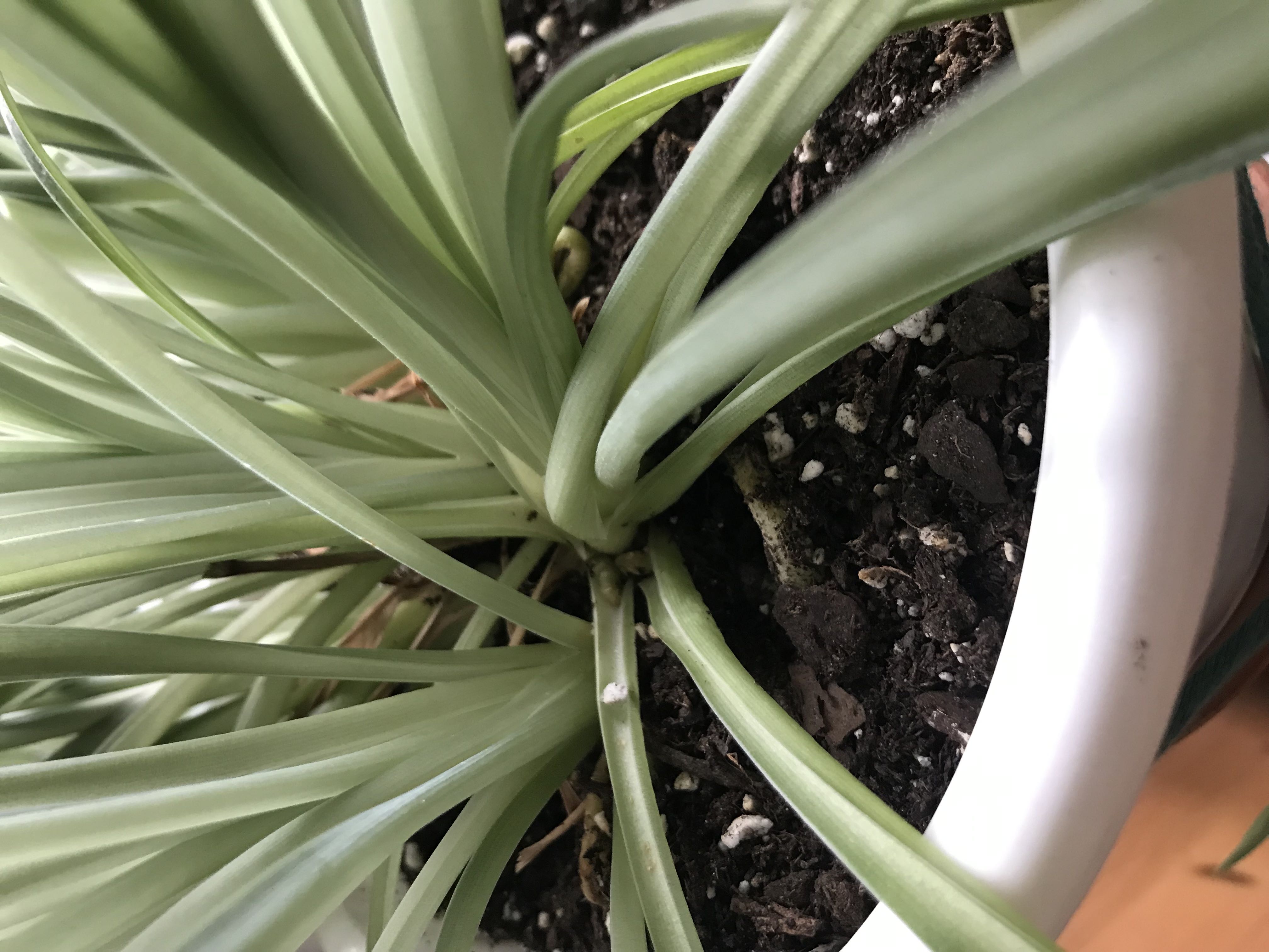 Photo from the post