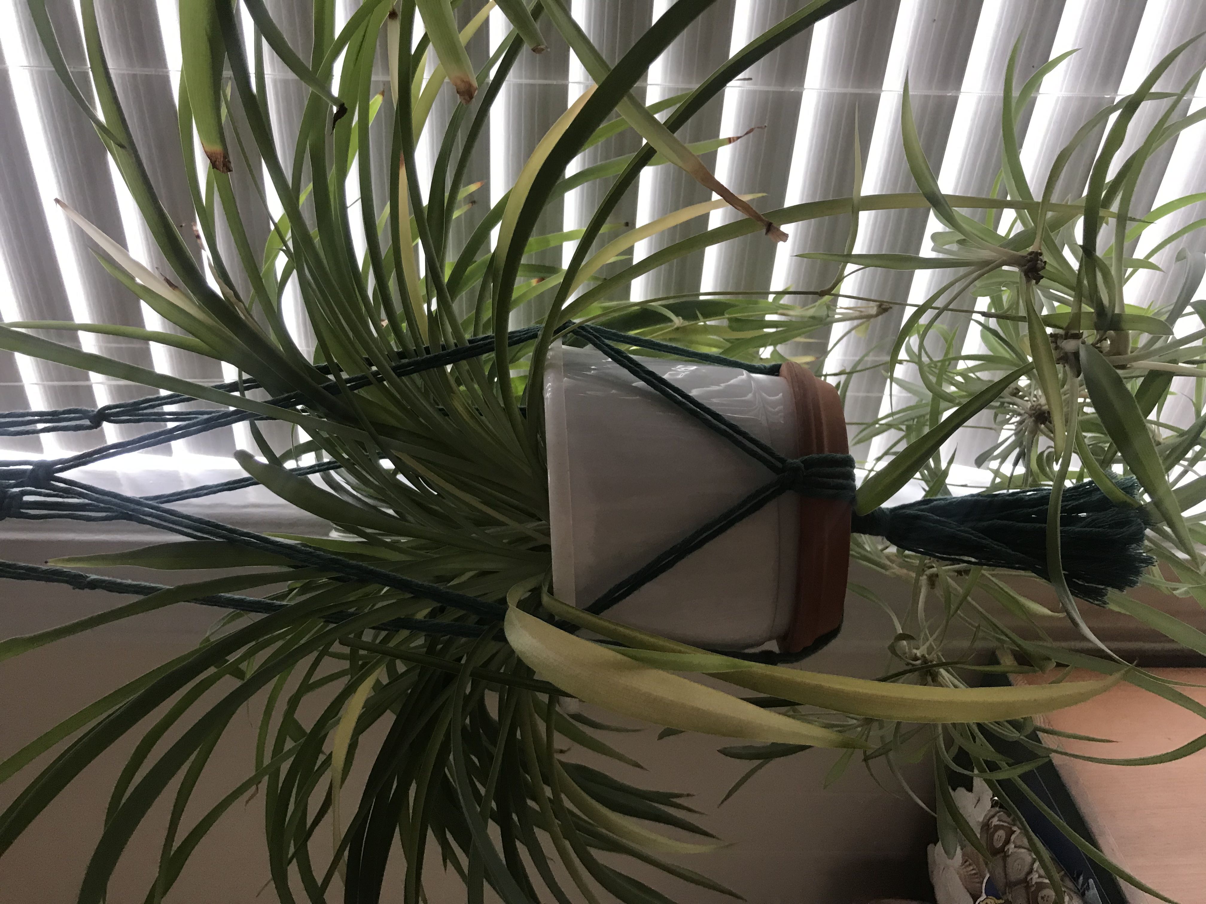 Photo from the post
