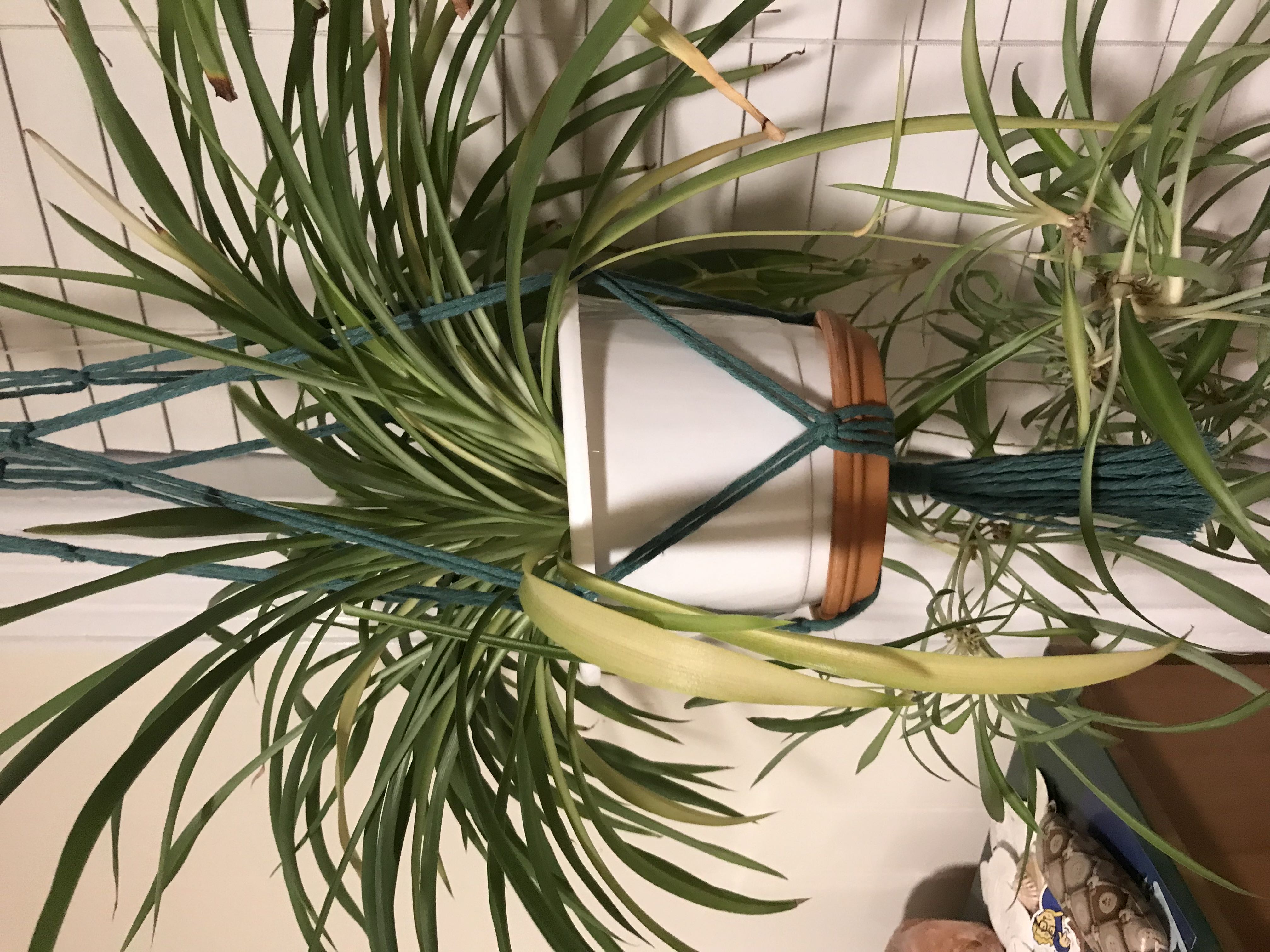 Photo from the post