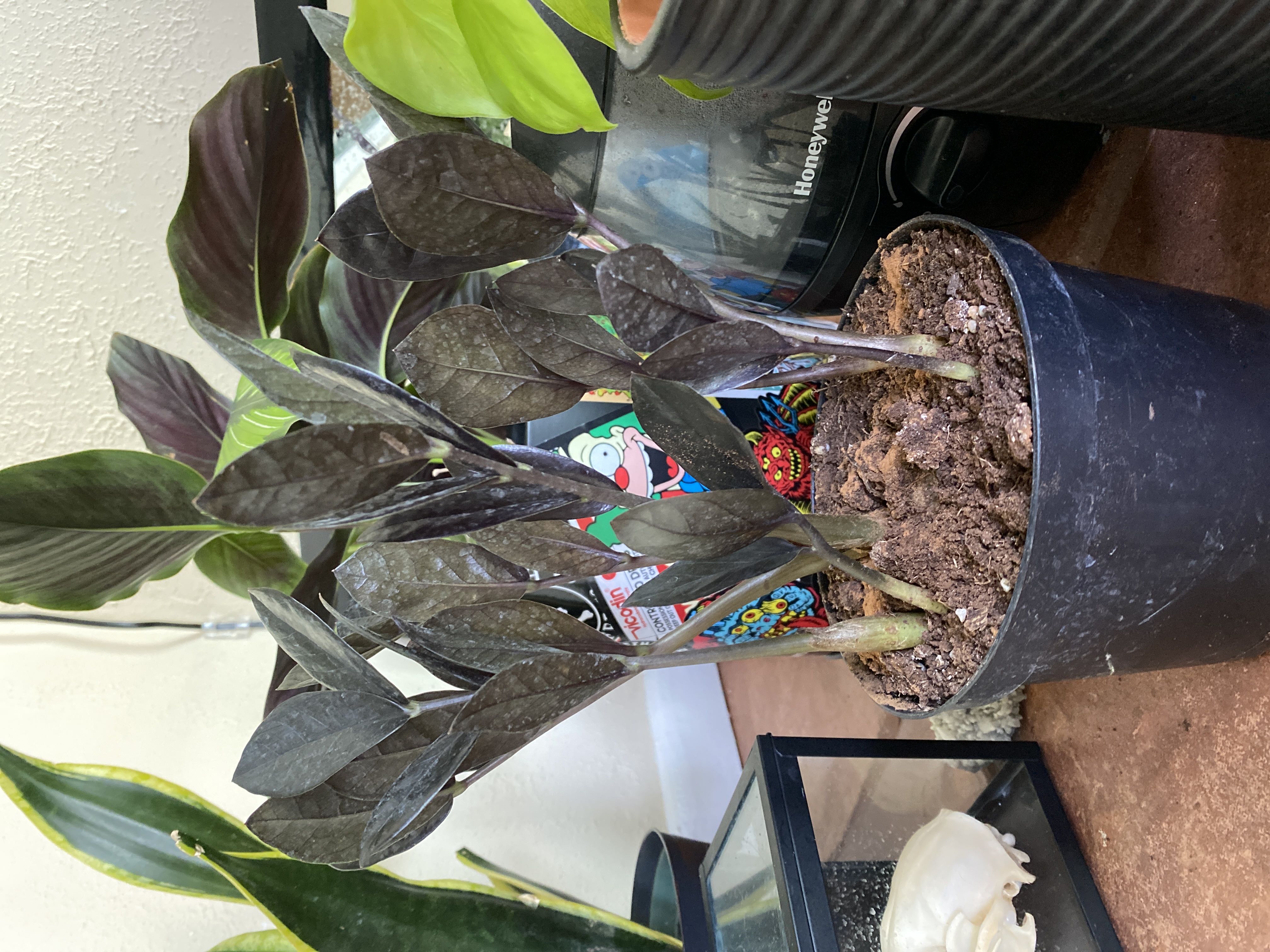 Photo from the post