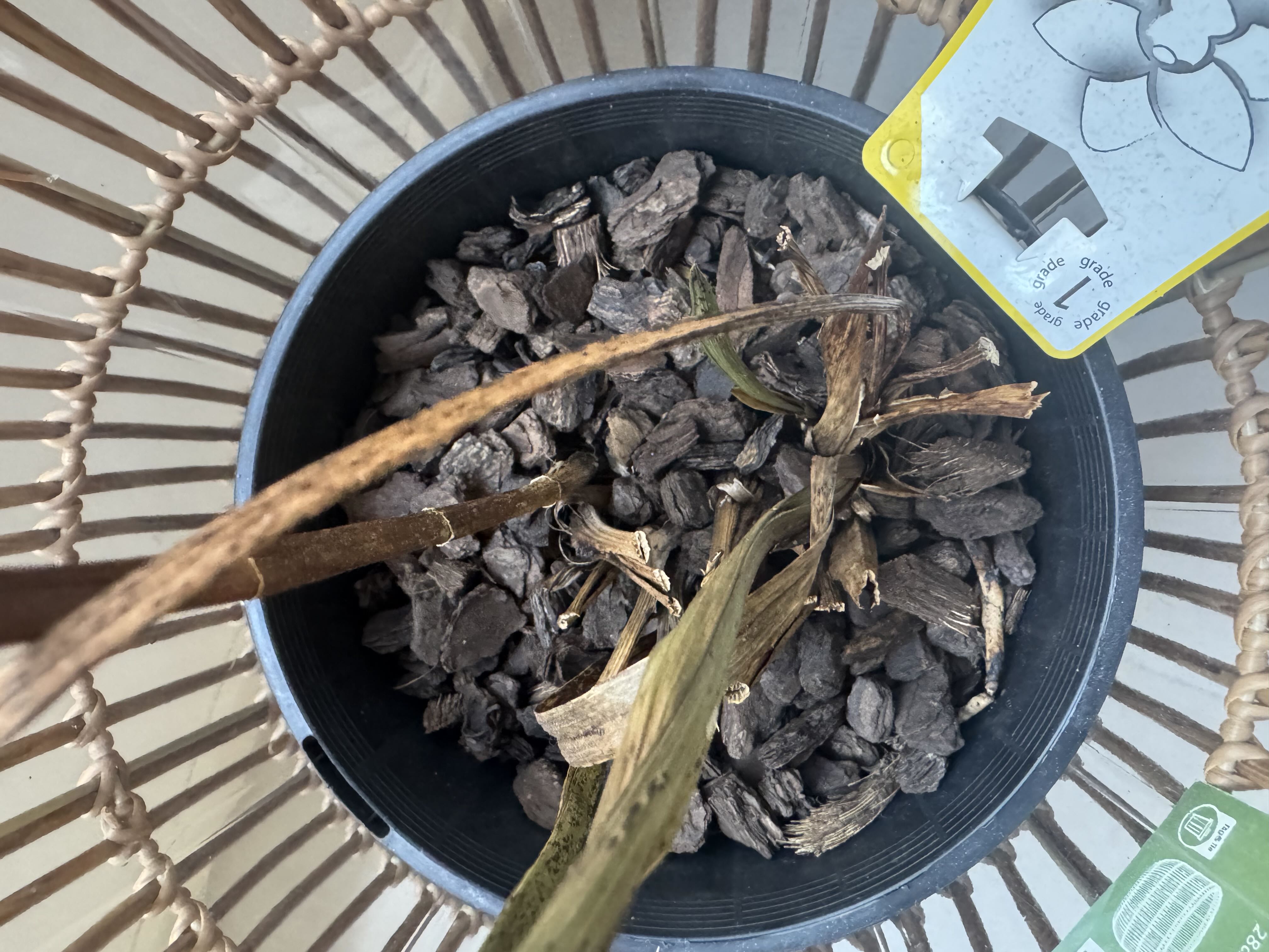 Photo from the post