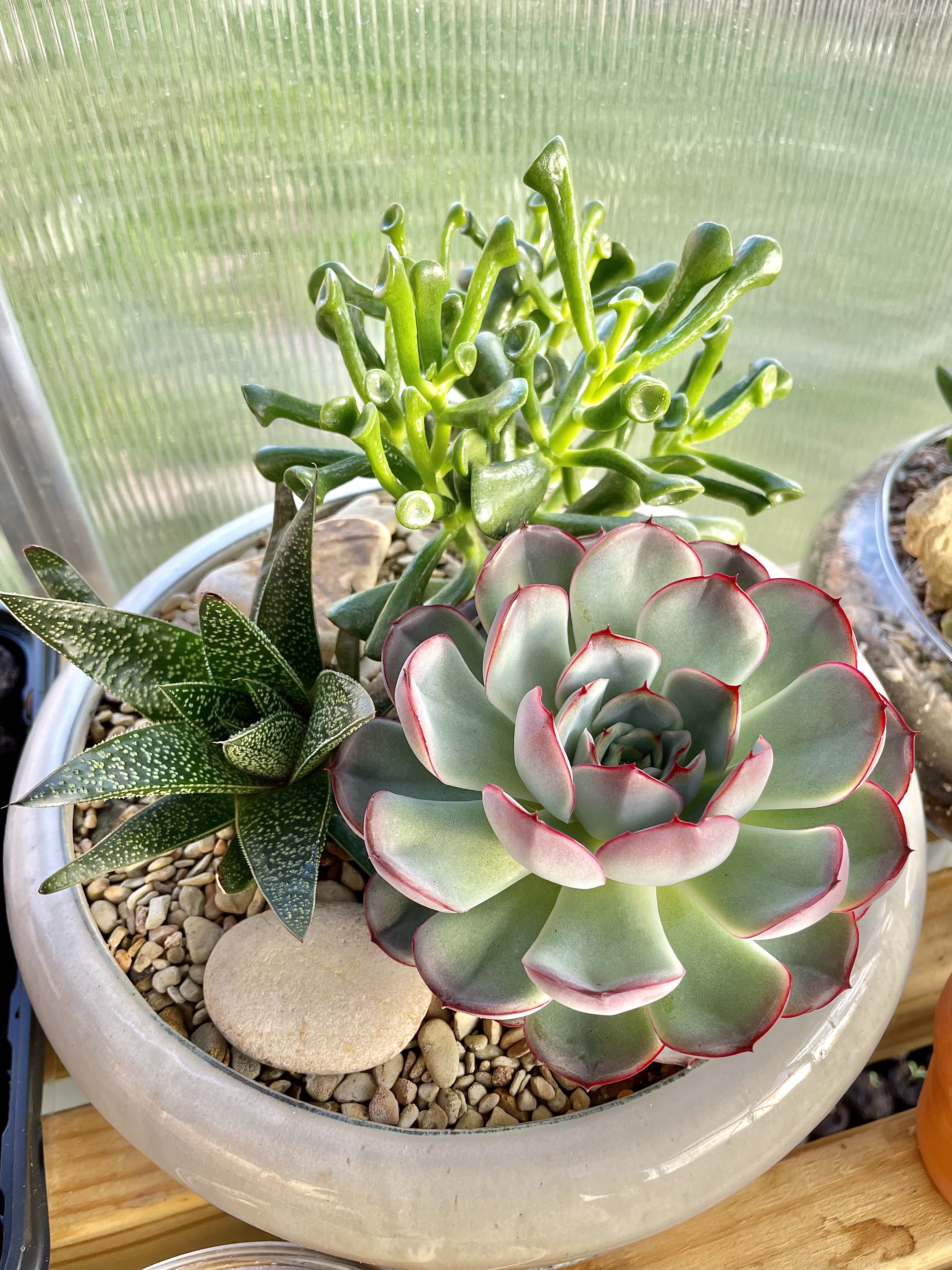 Photo from the post