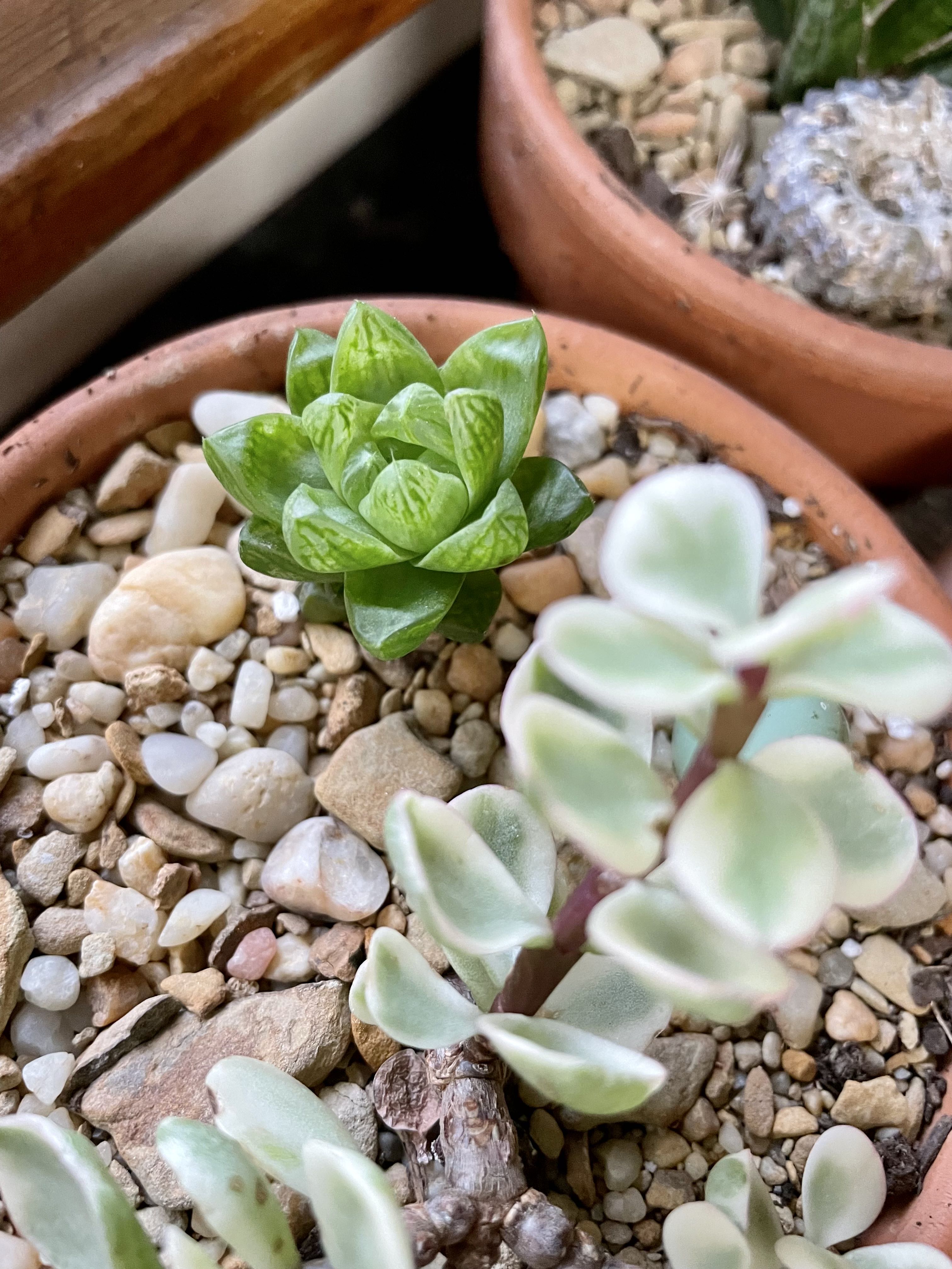 Photo from the post