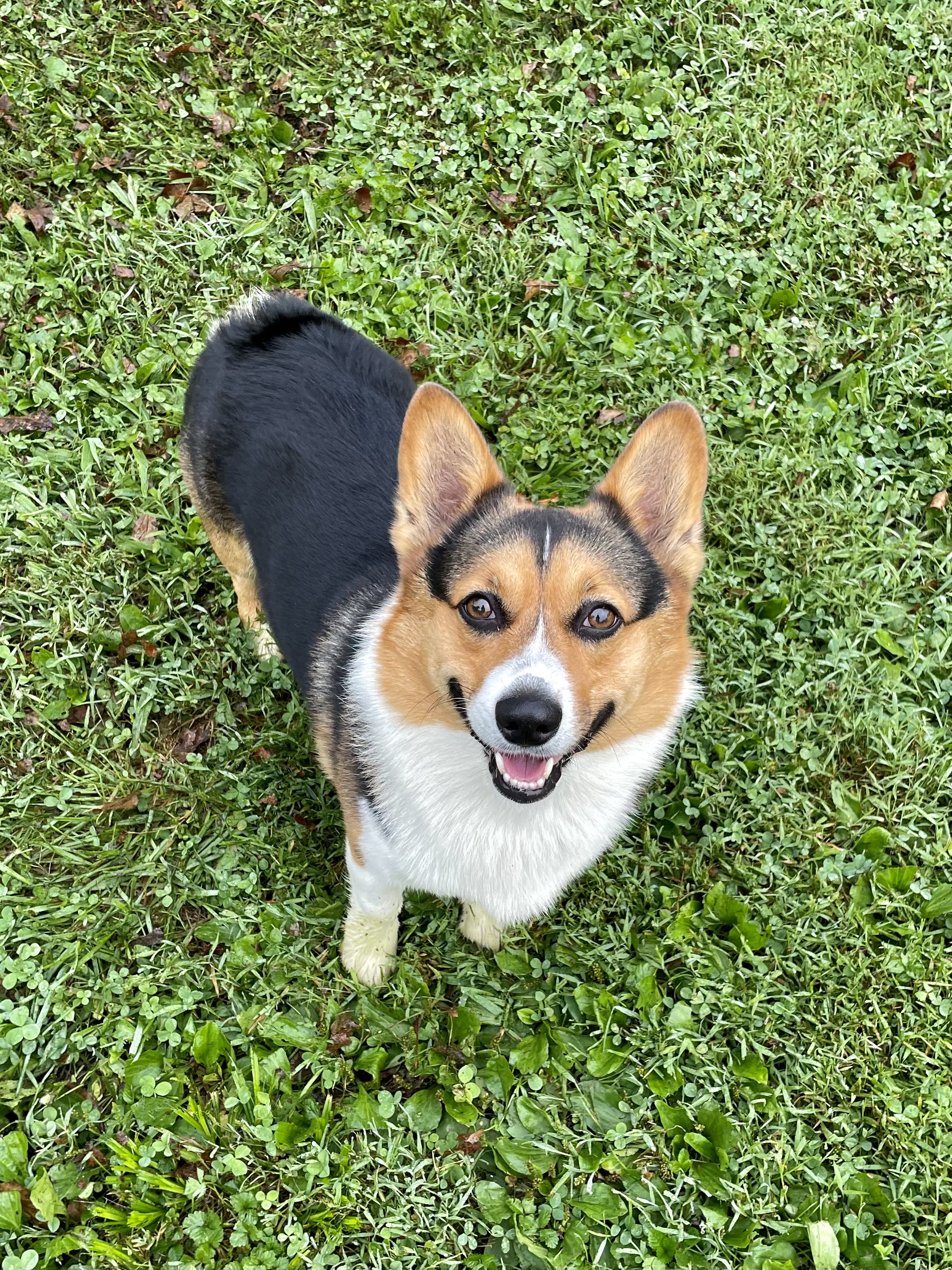 Photo from the post