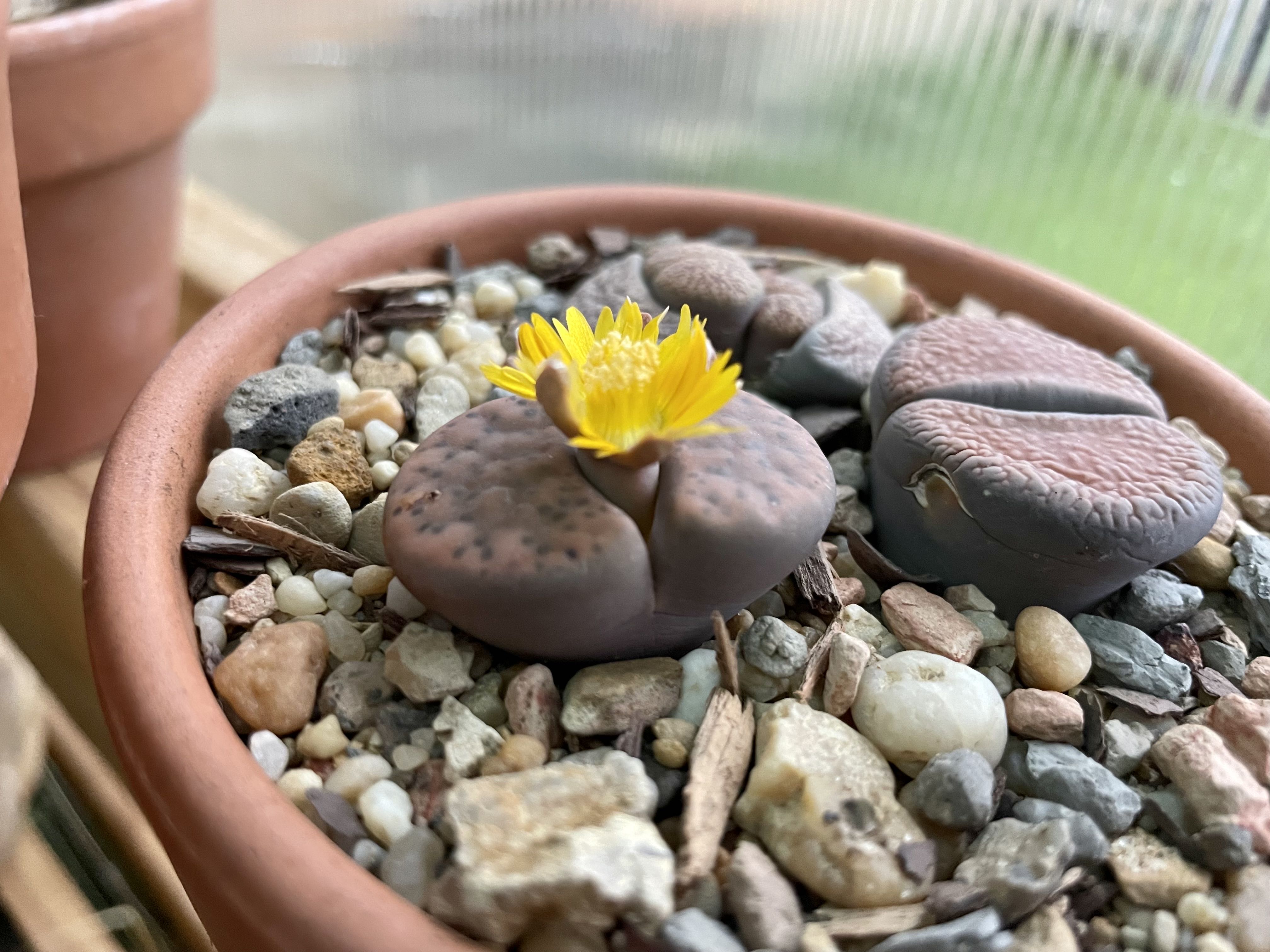 Photo from the post