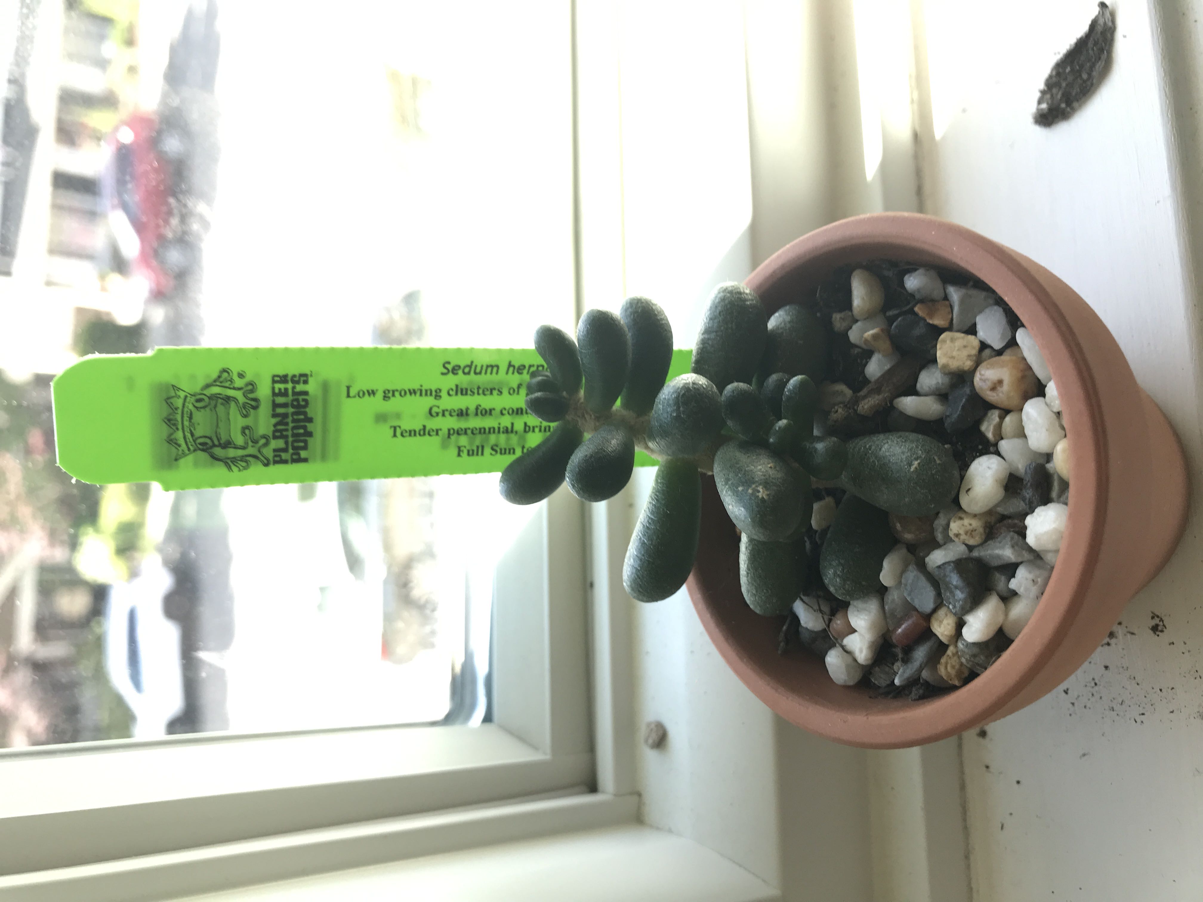 Photo from the post