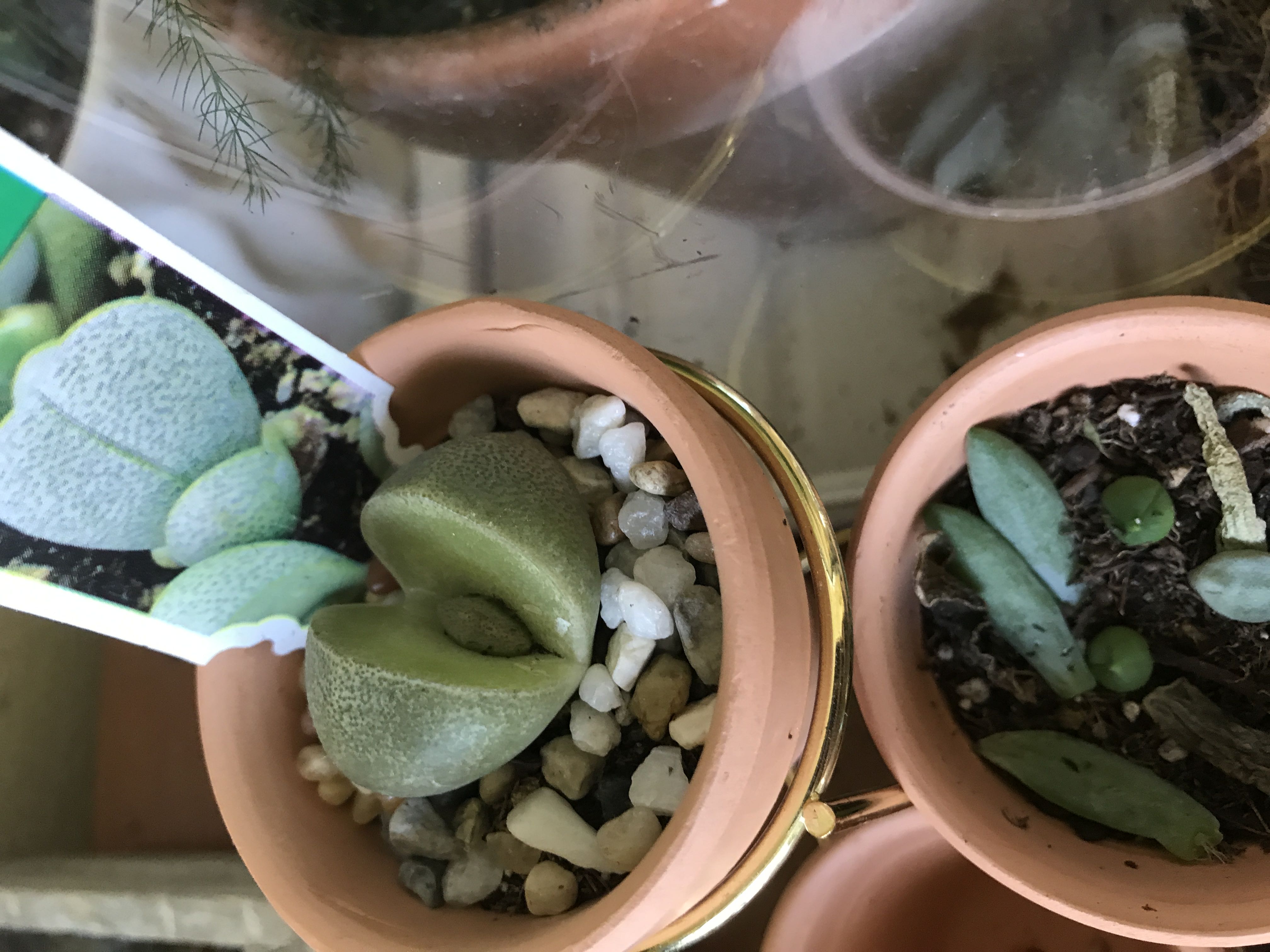 Photo from the post