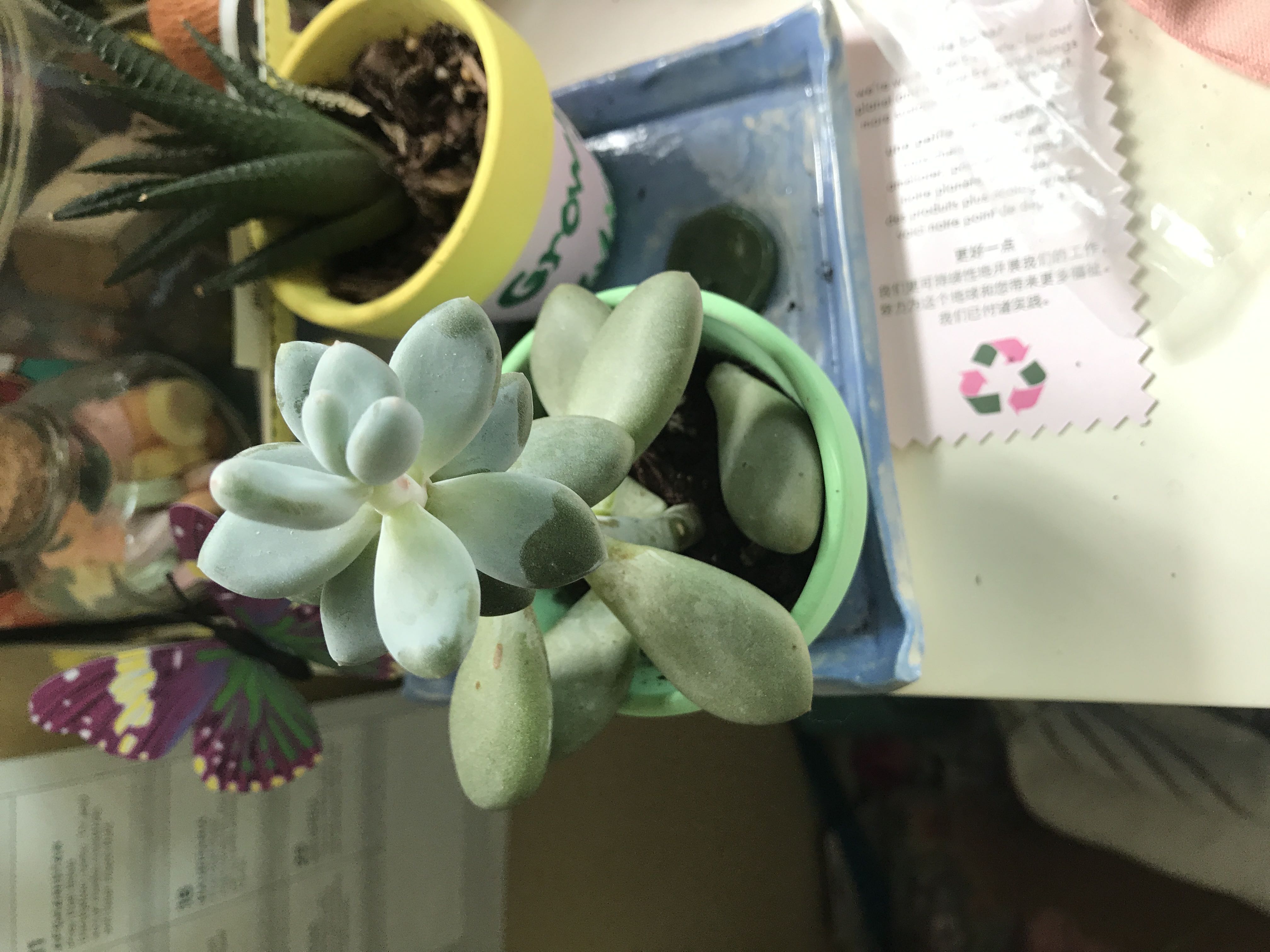 Photo from the post