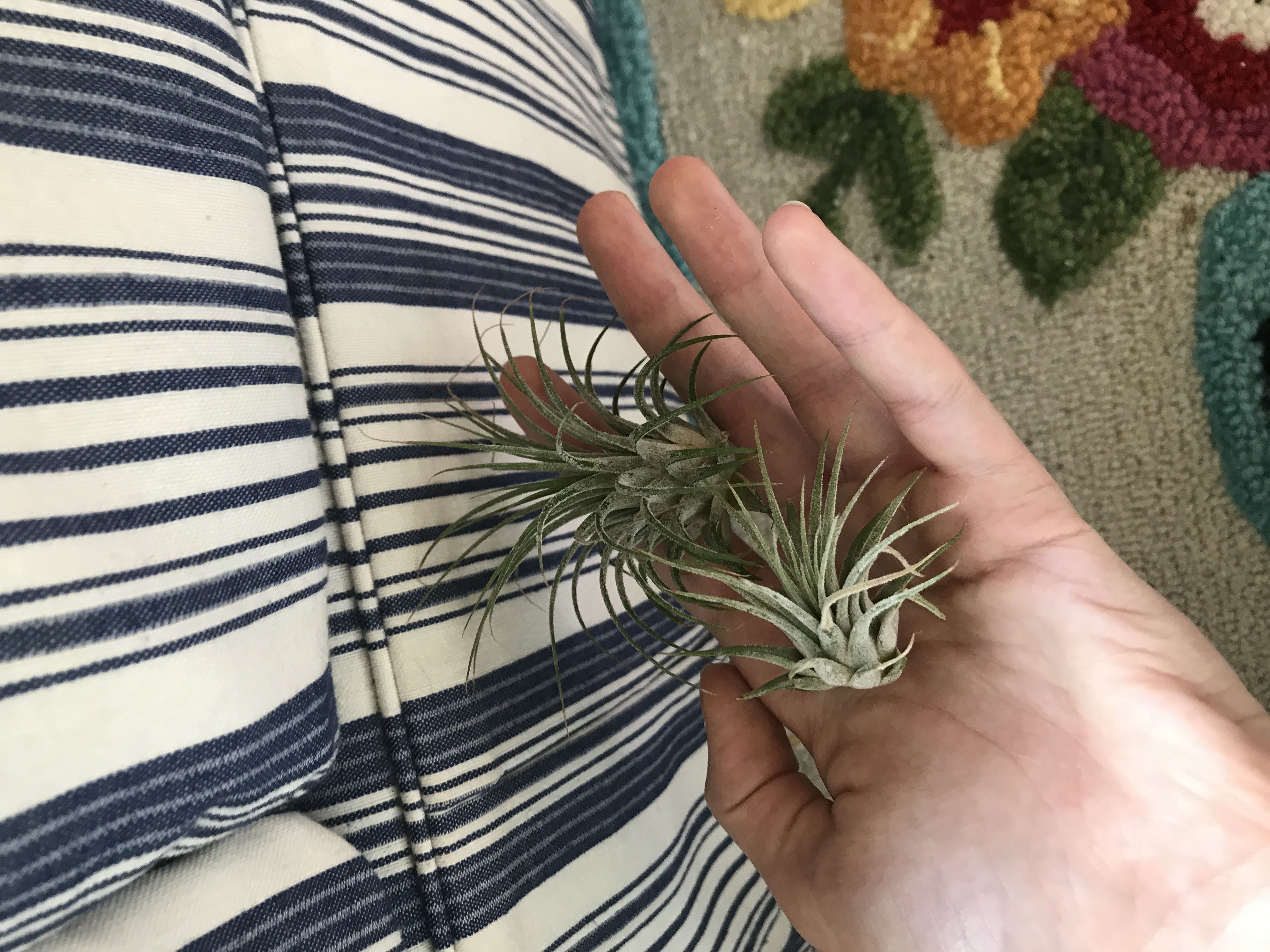 Photo from the post