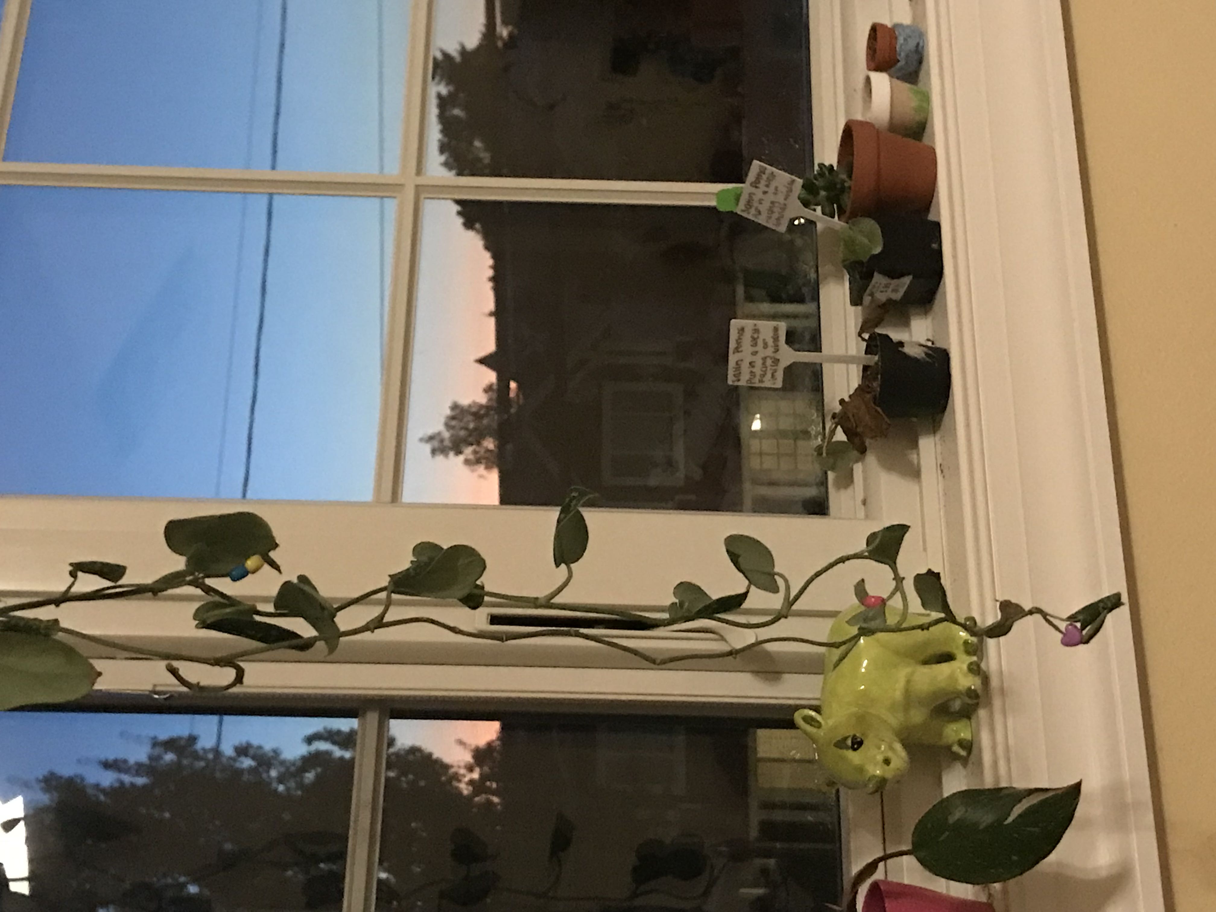 Photo from the post
