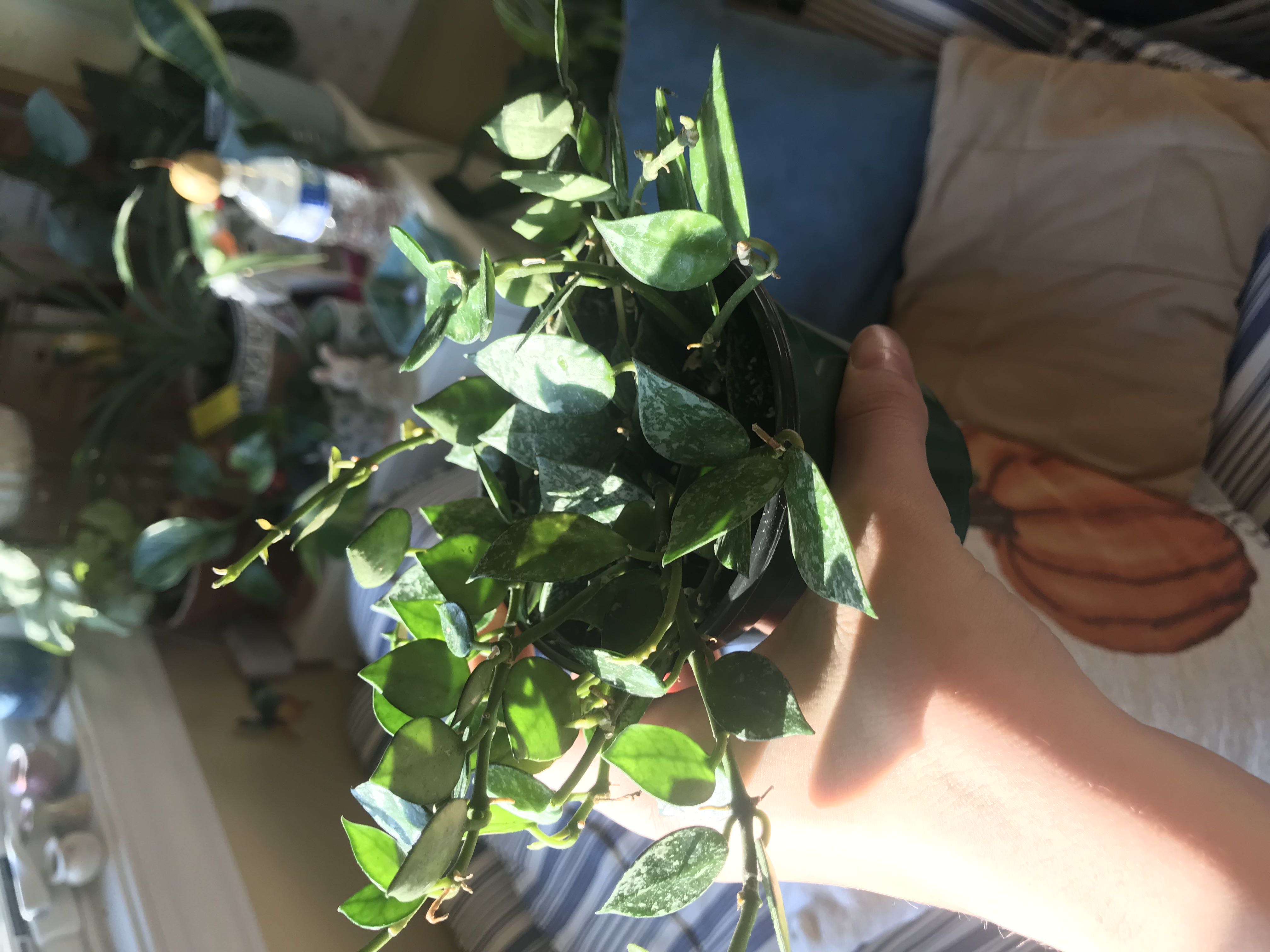 Photo from the post