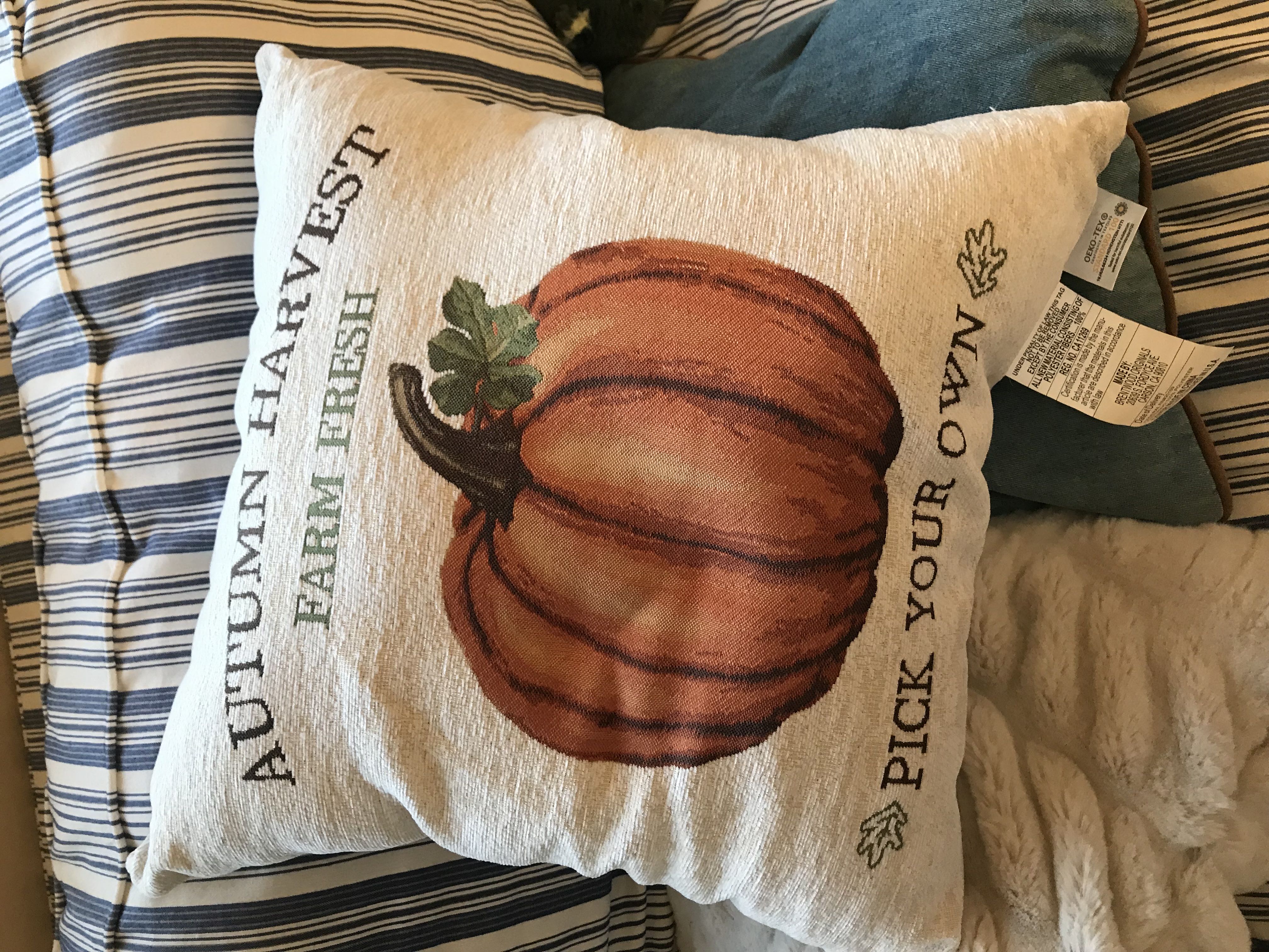 Photo from the post