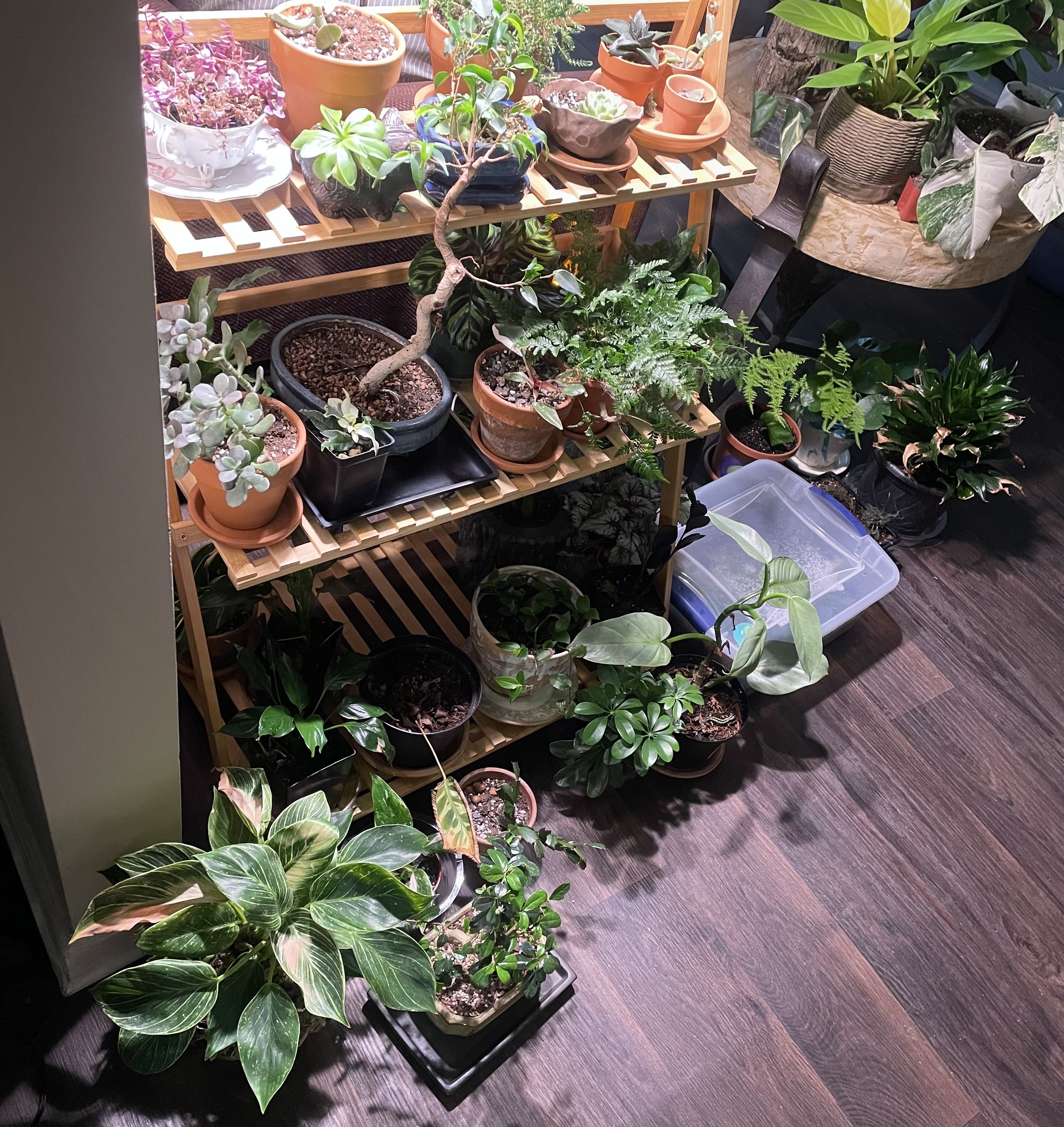 Photo from the post