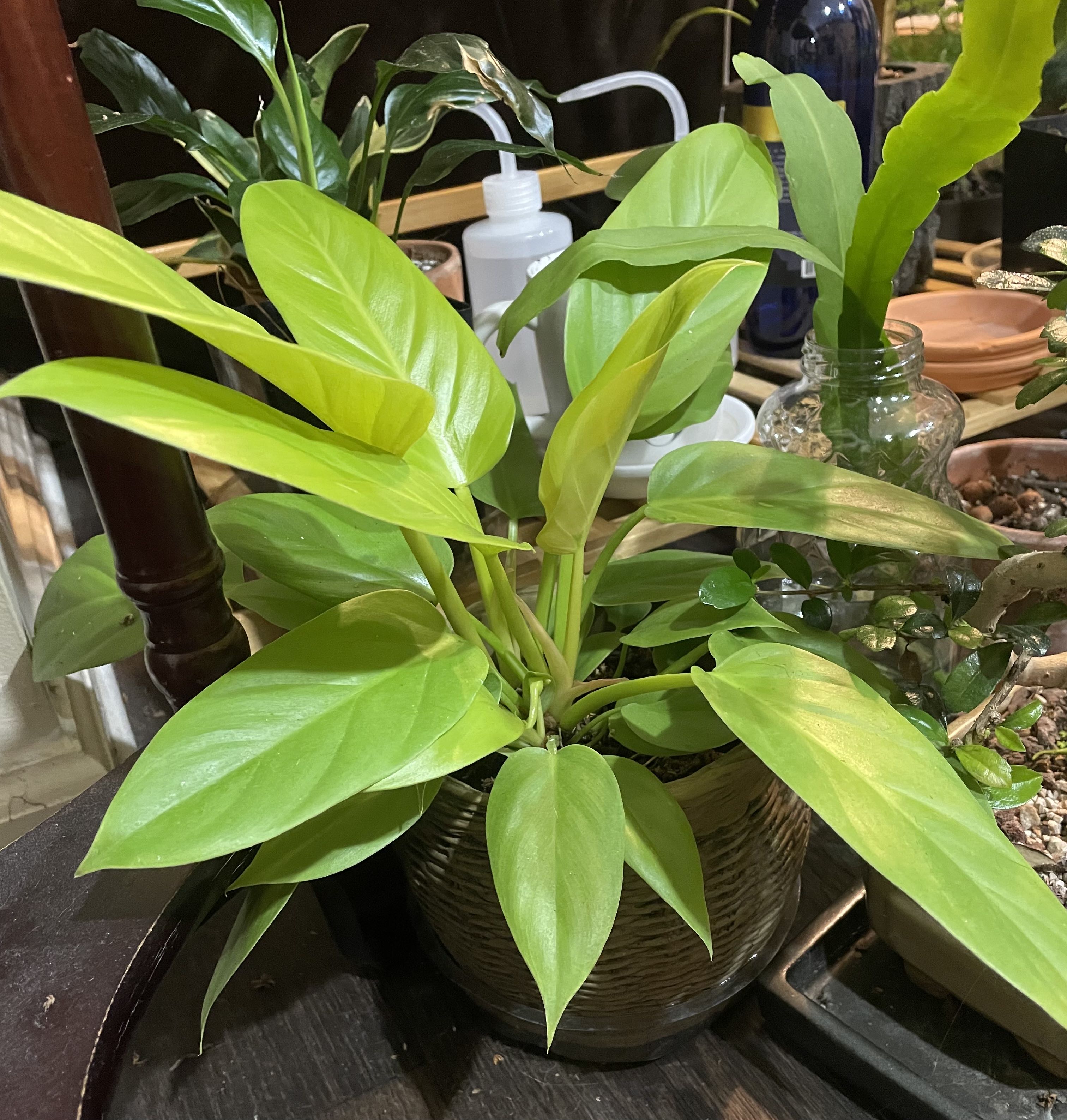 Photo from the post