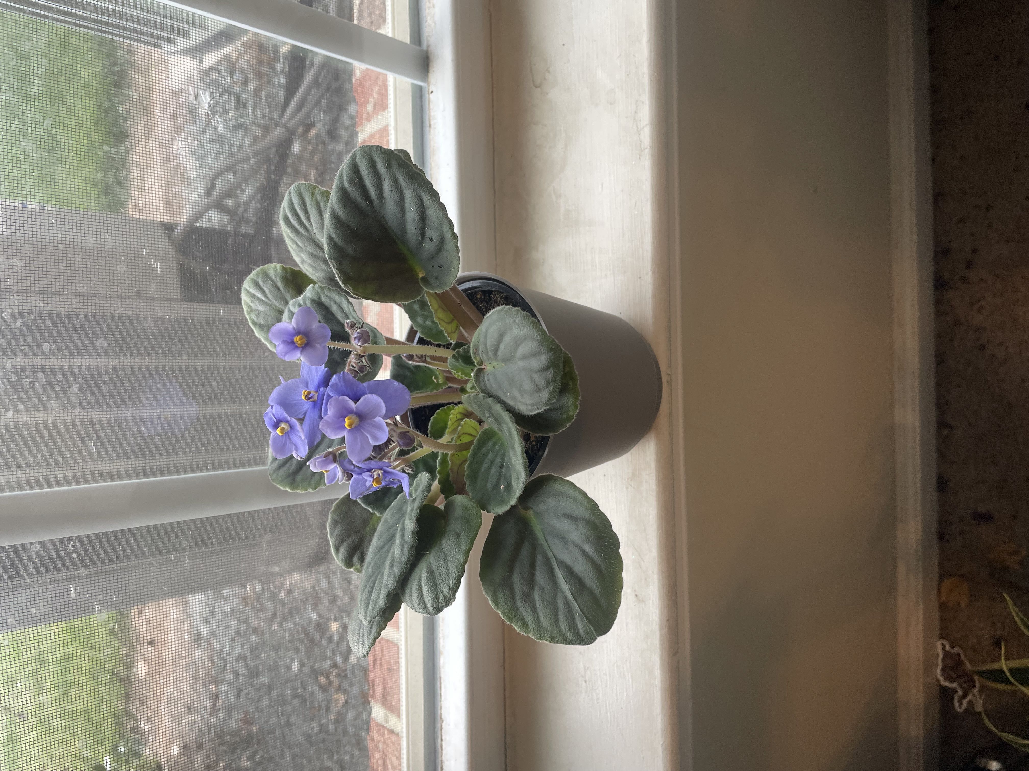 Photo from the post