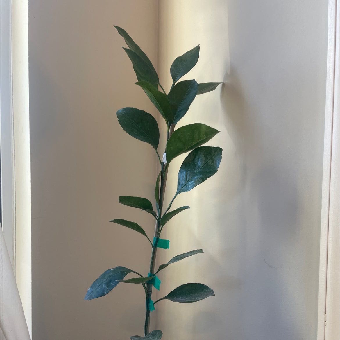 Photo from the post