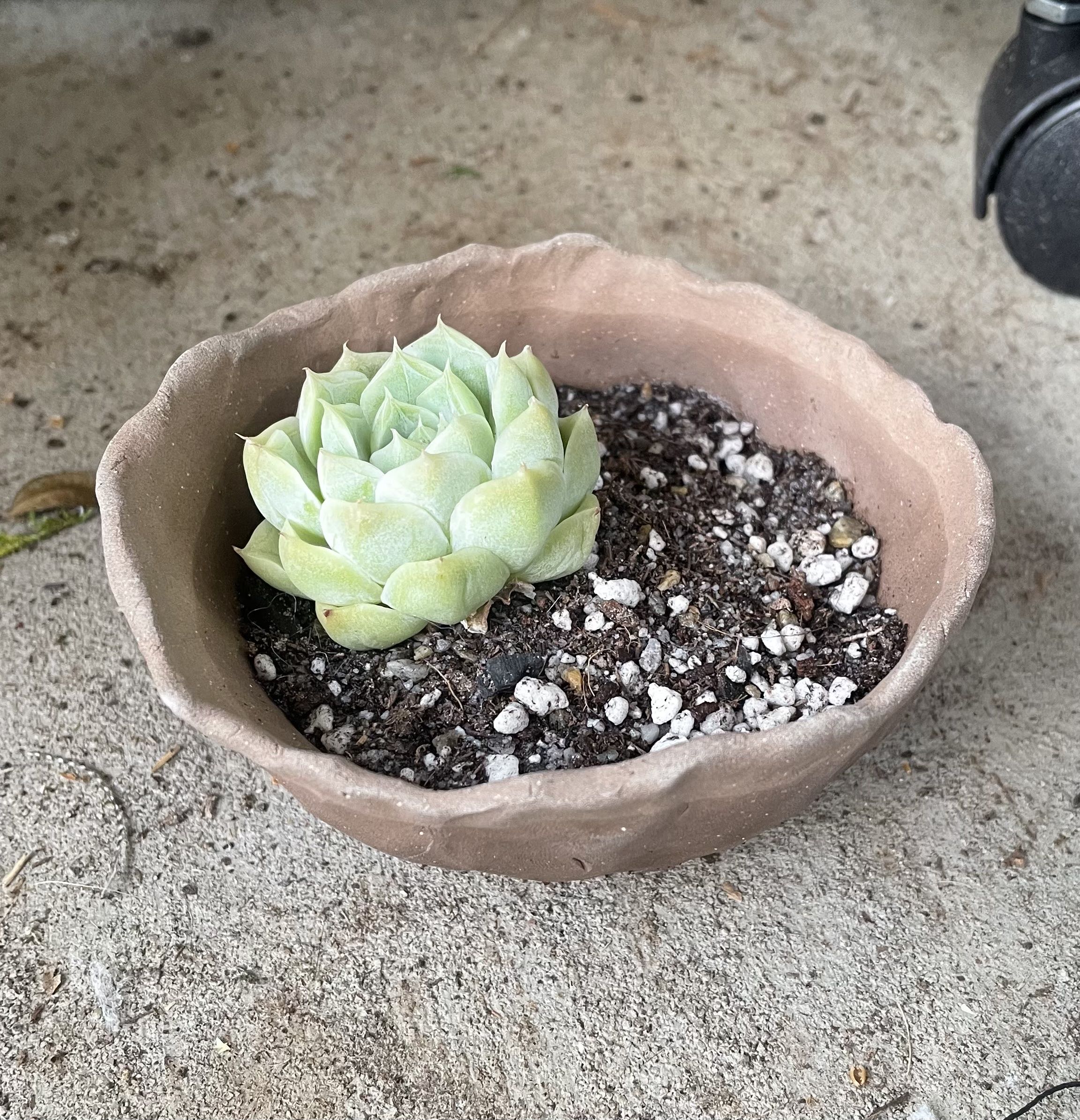 Photo from the post