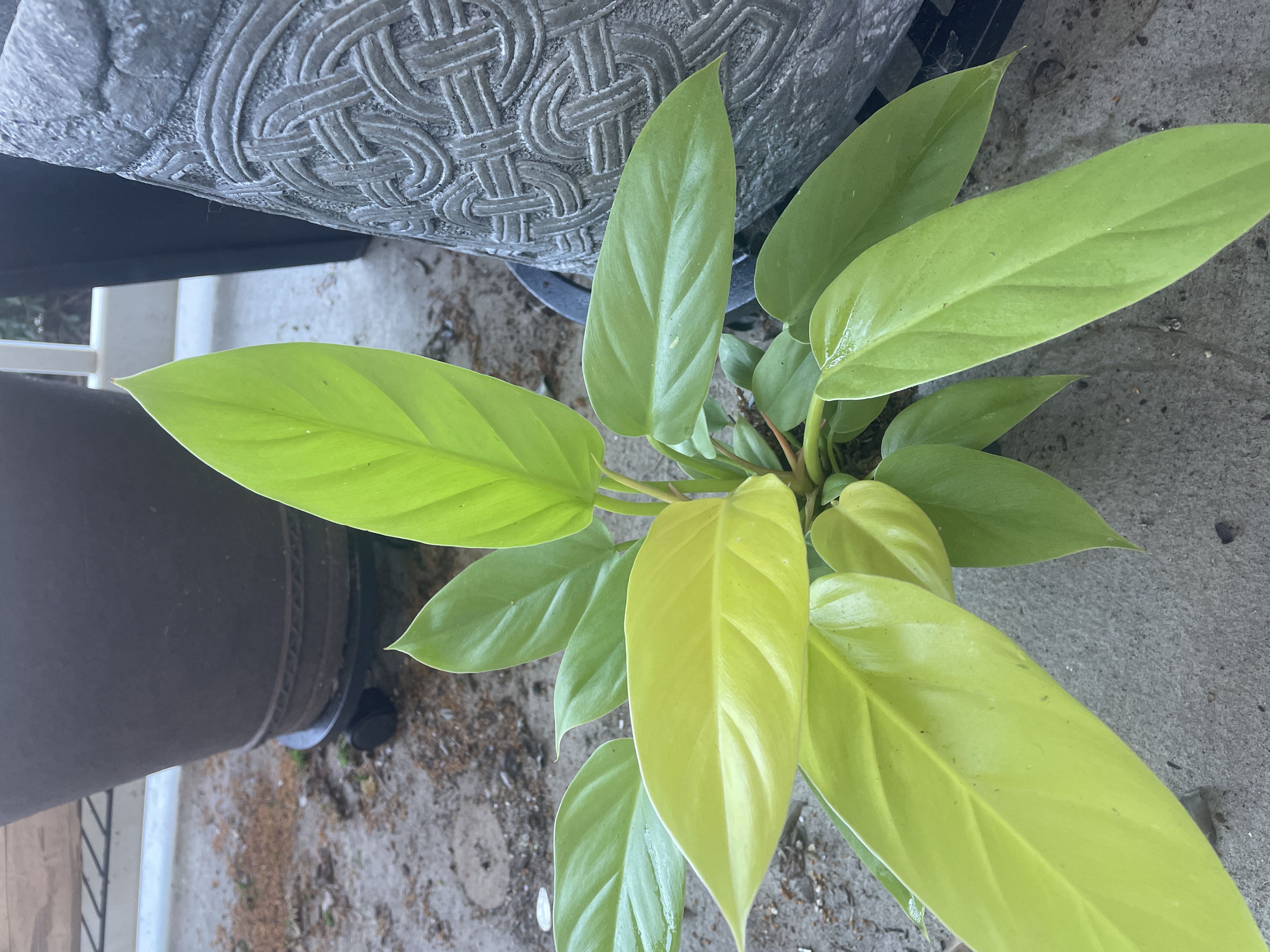 Photo from the post