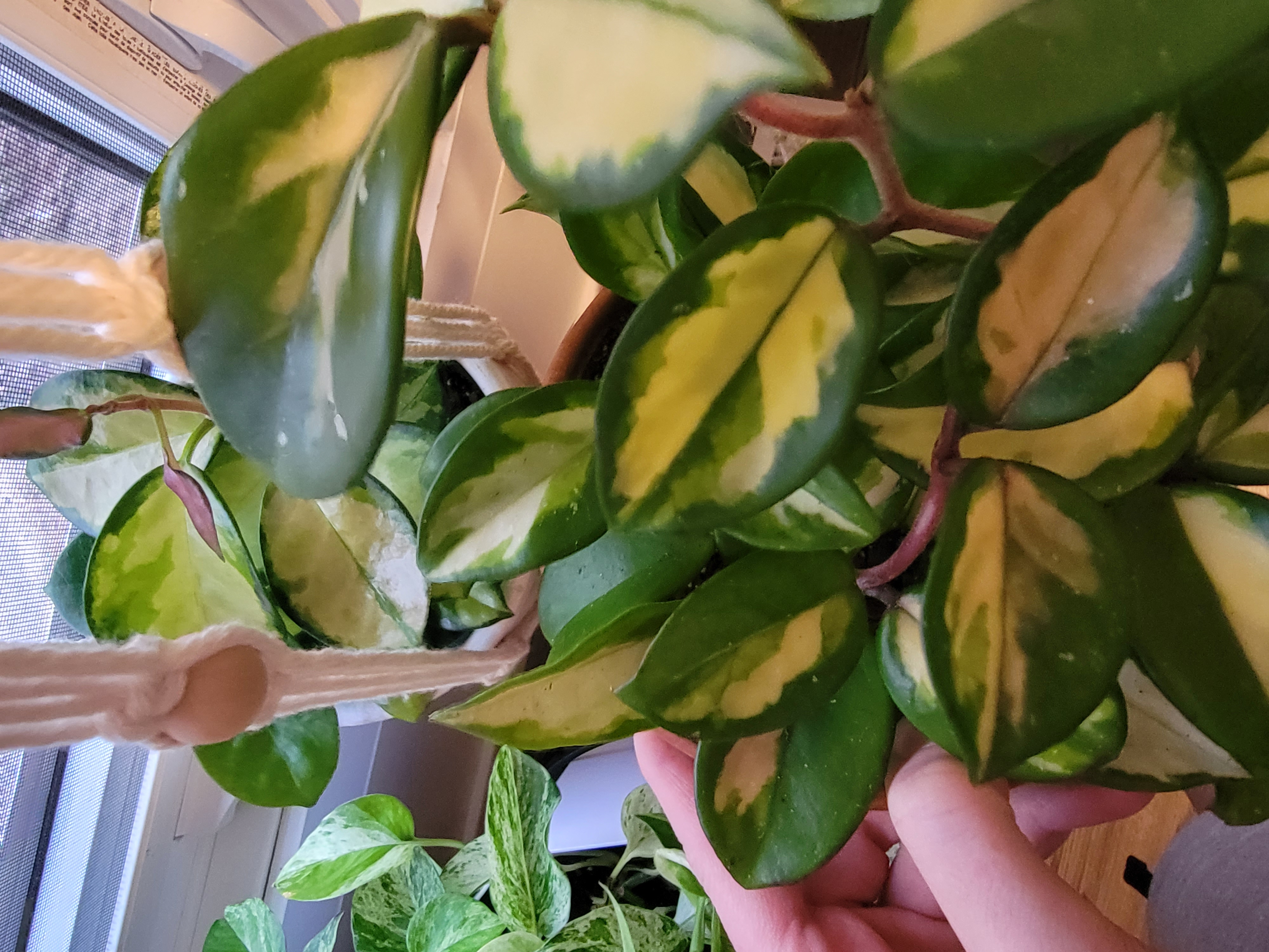 Photo from the post