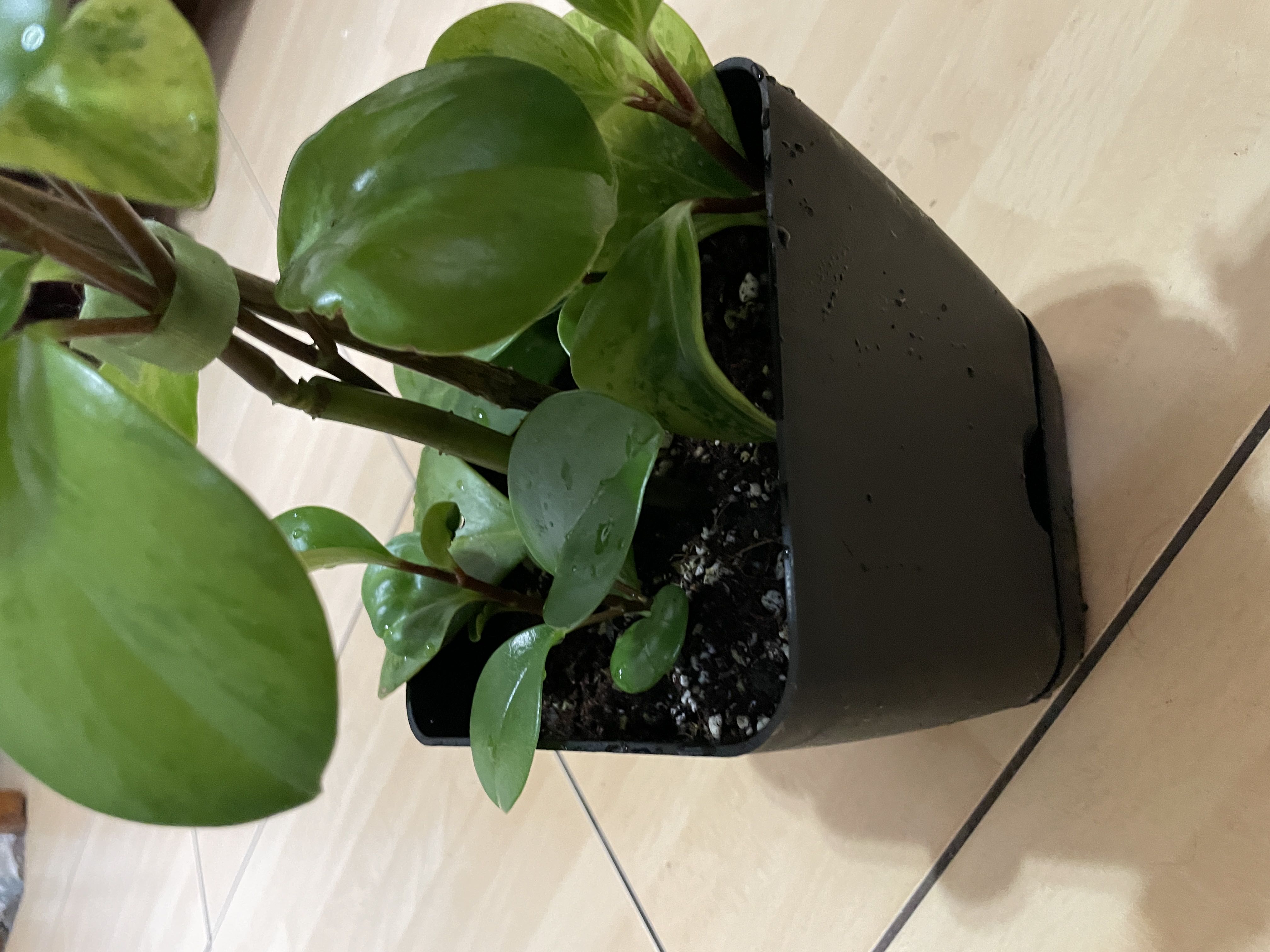 Photo from the post