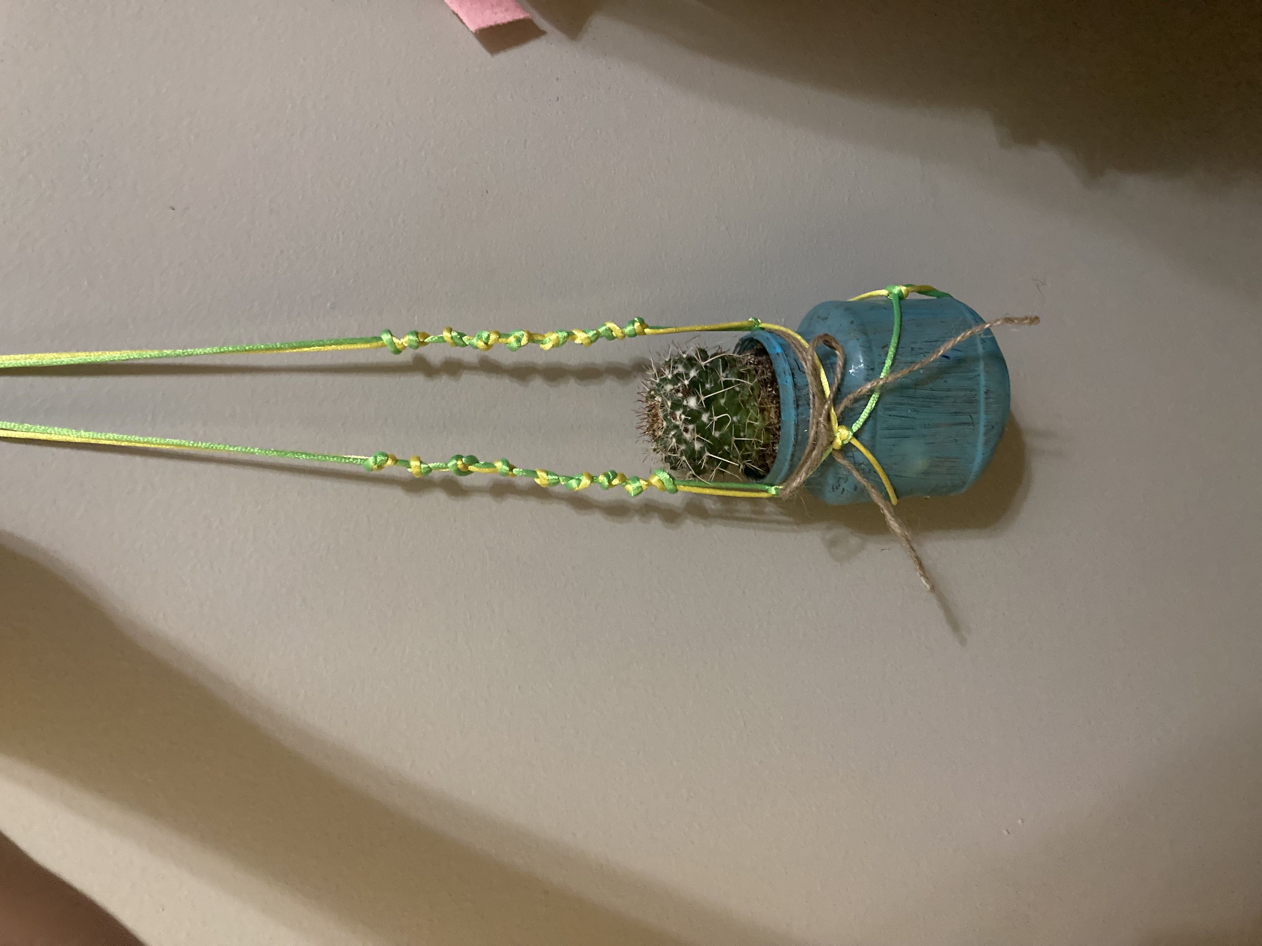 Photo from the post