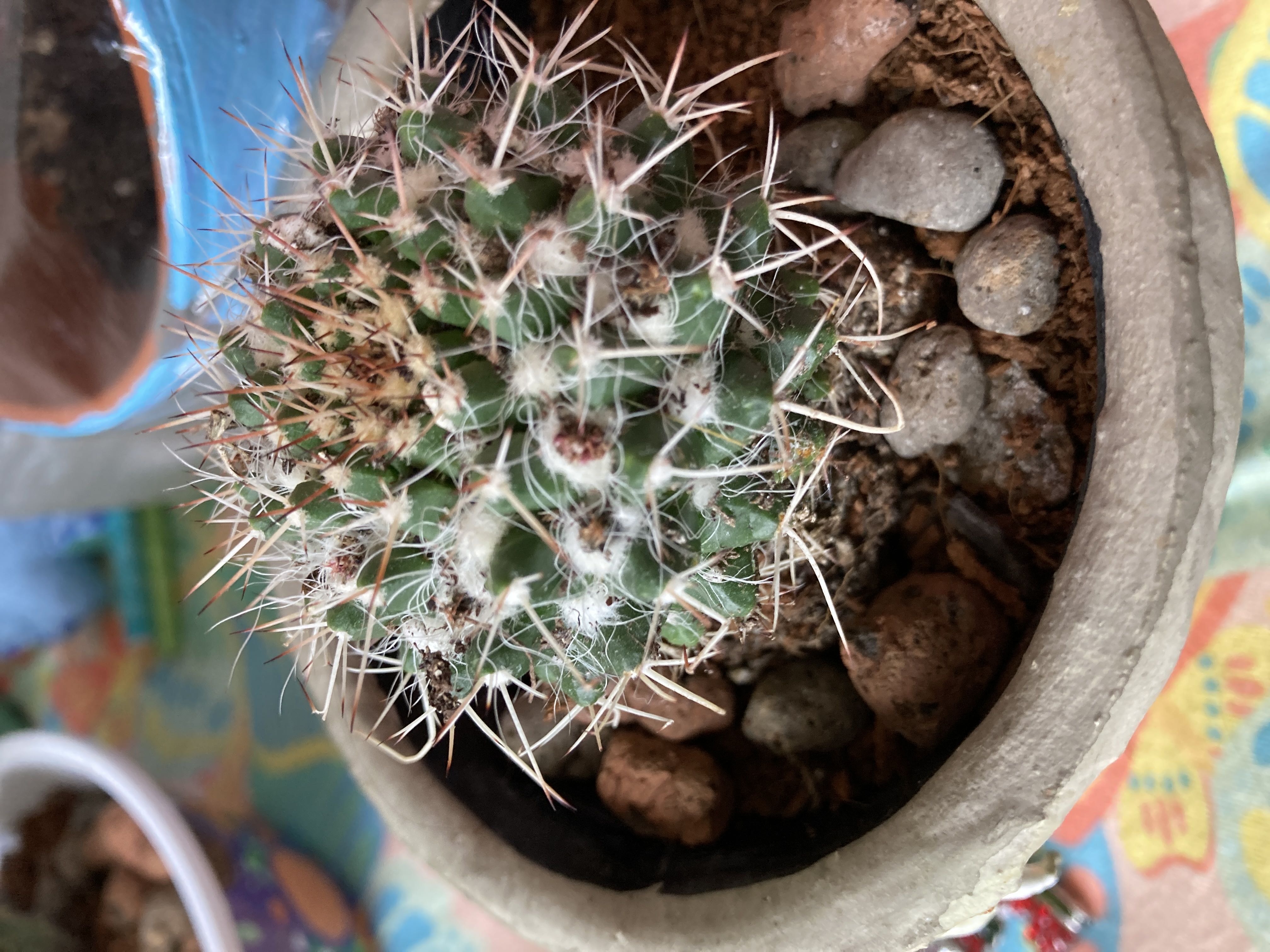 Photo from the post