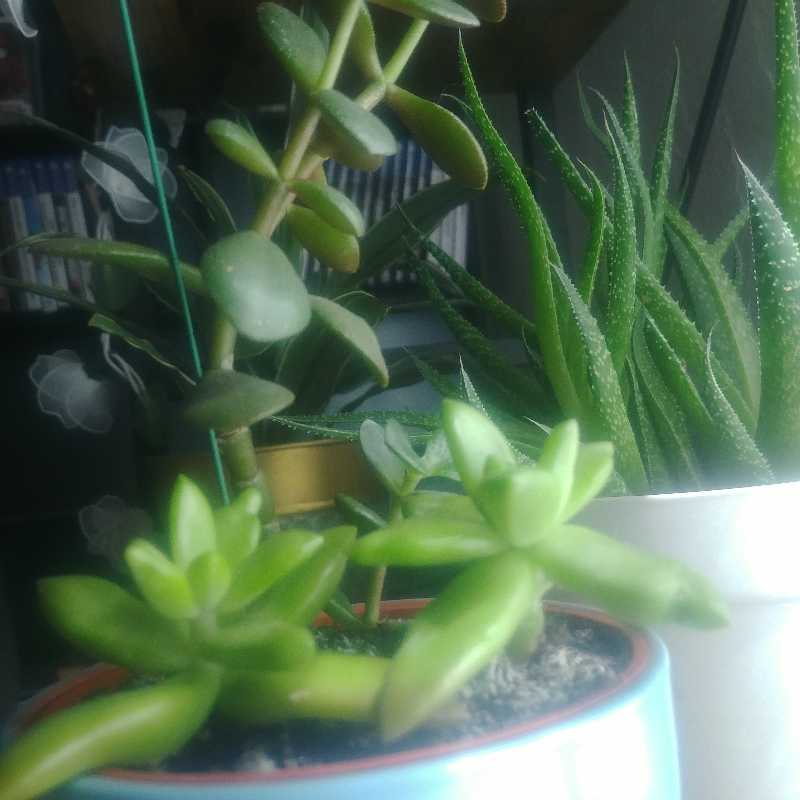 Photo from the post