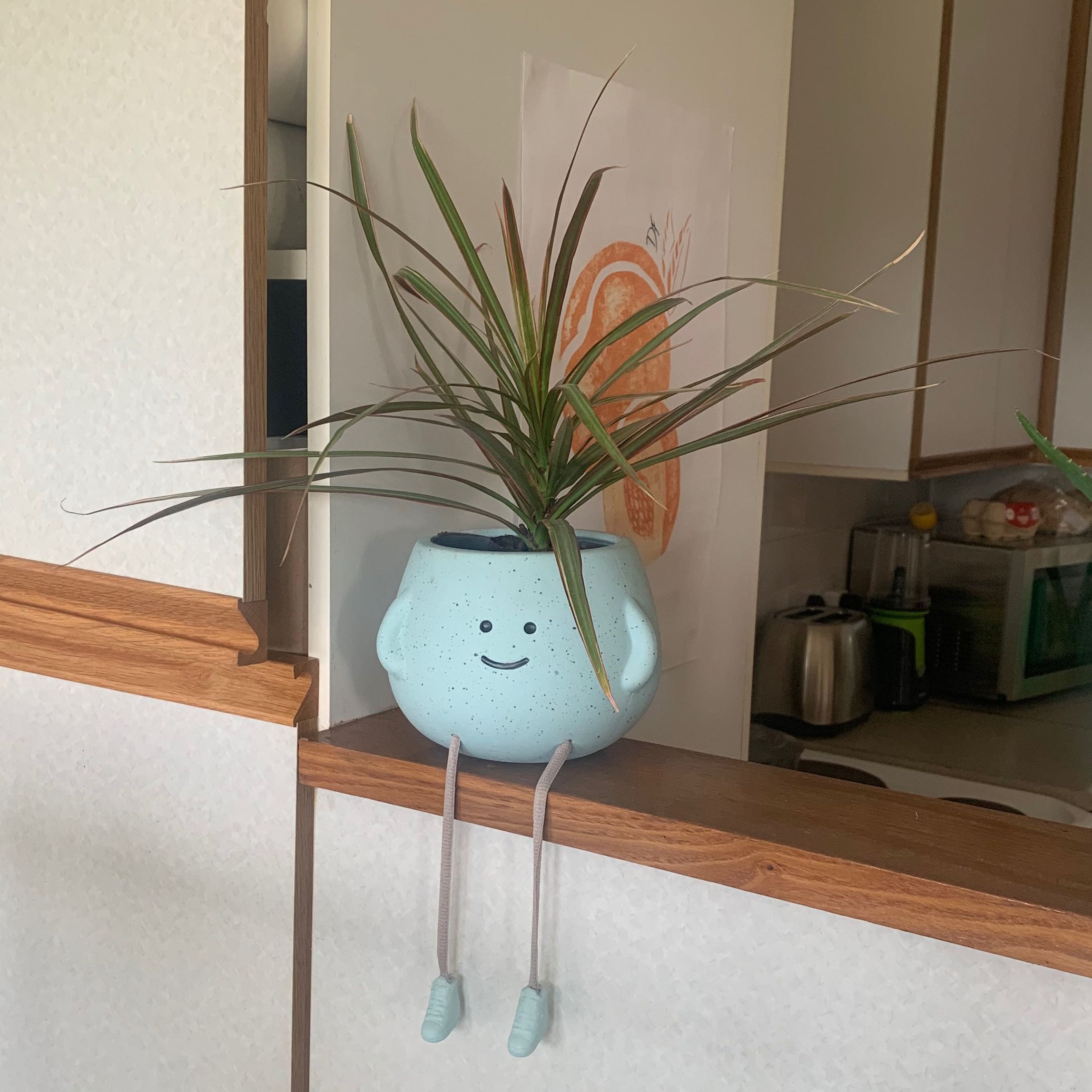 Dracaena plant in a decorative pot with a face and dangling legs, placed on a wooden ledge.