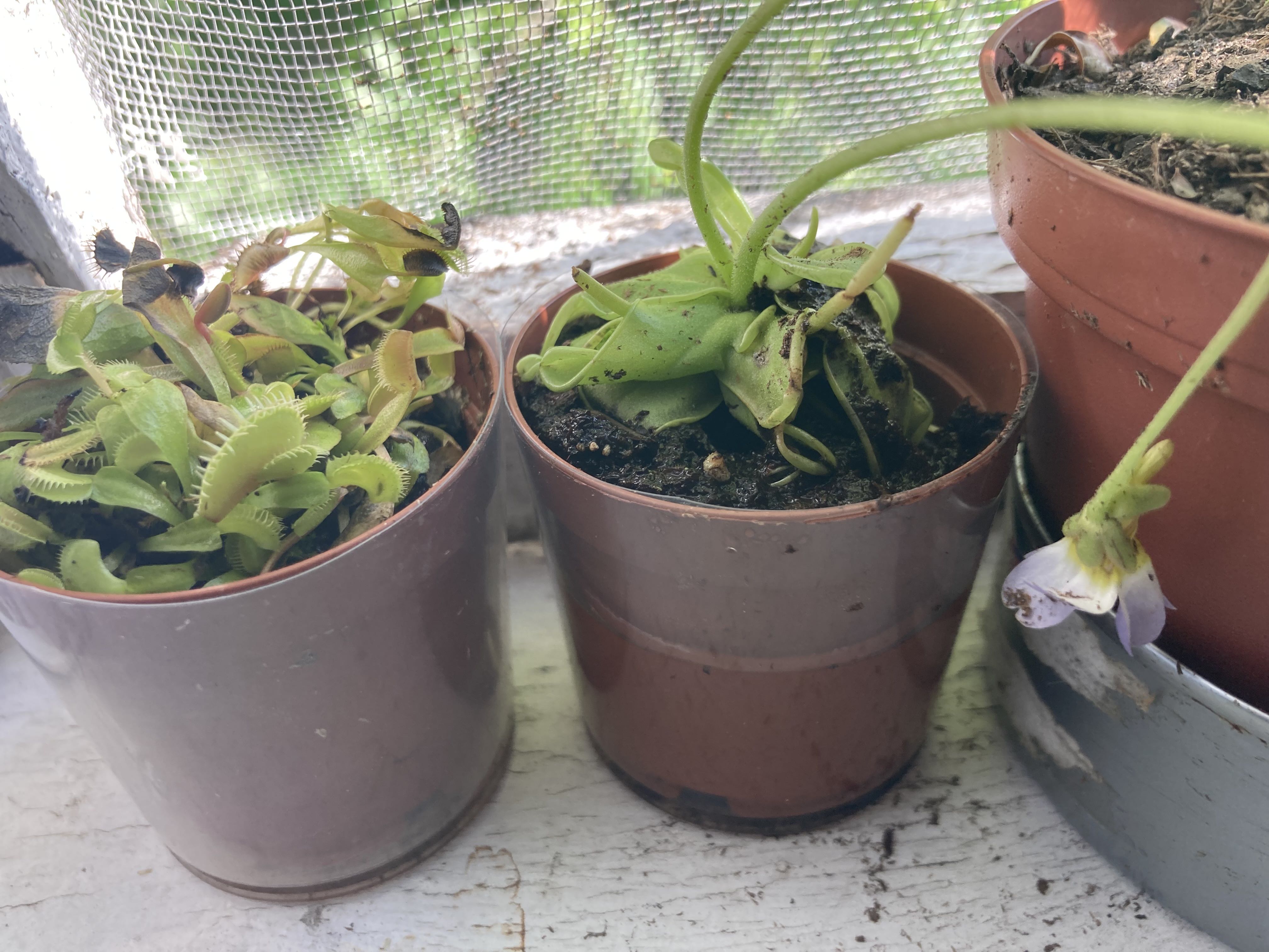 Photo from the post
