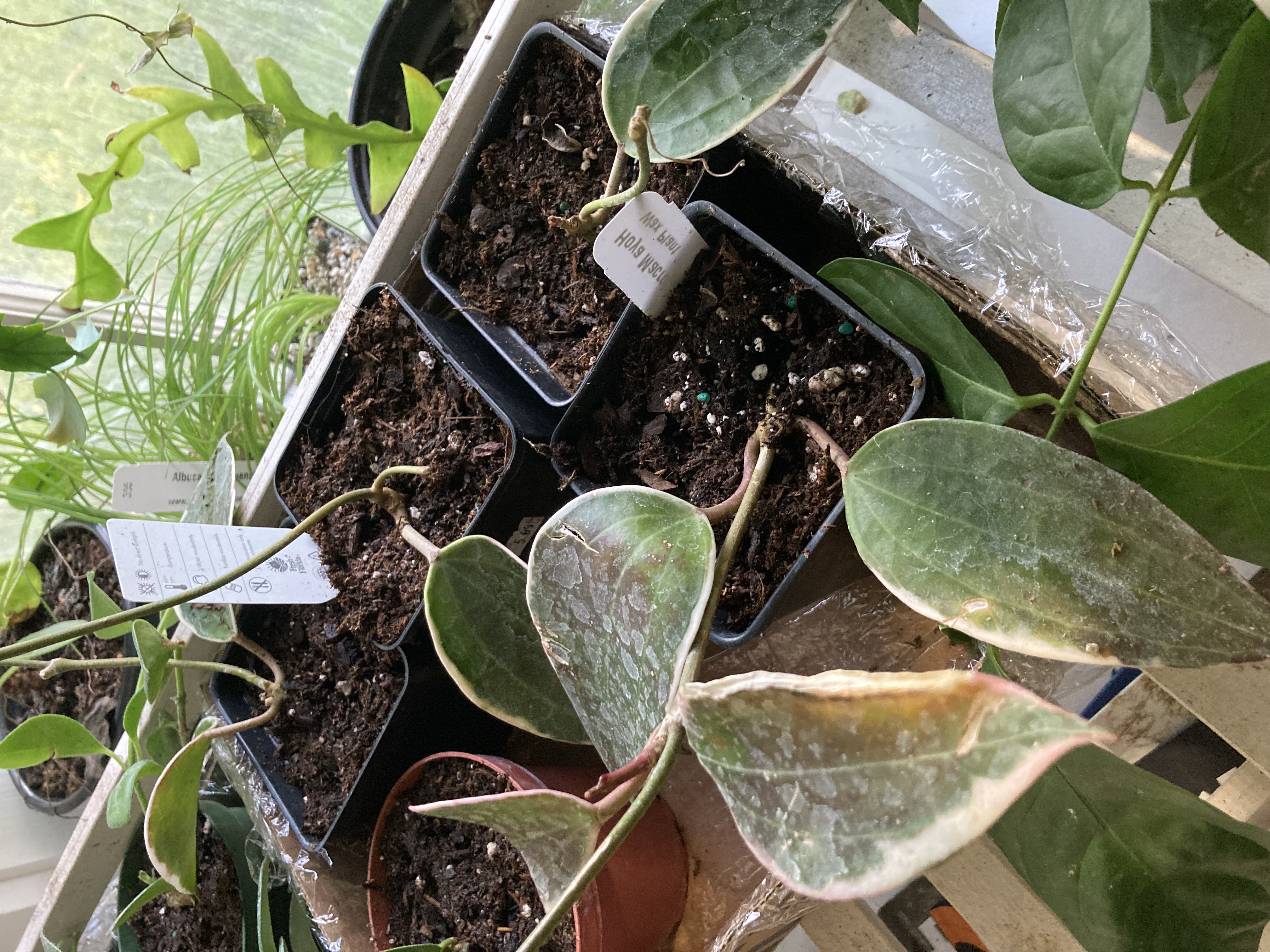Photo from the post