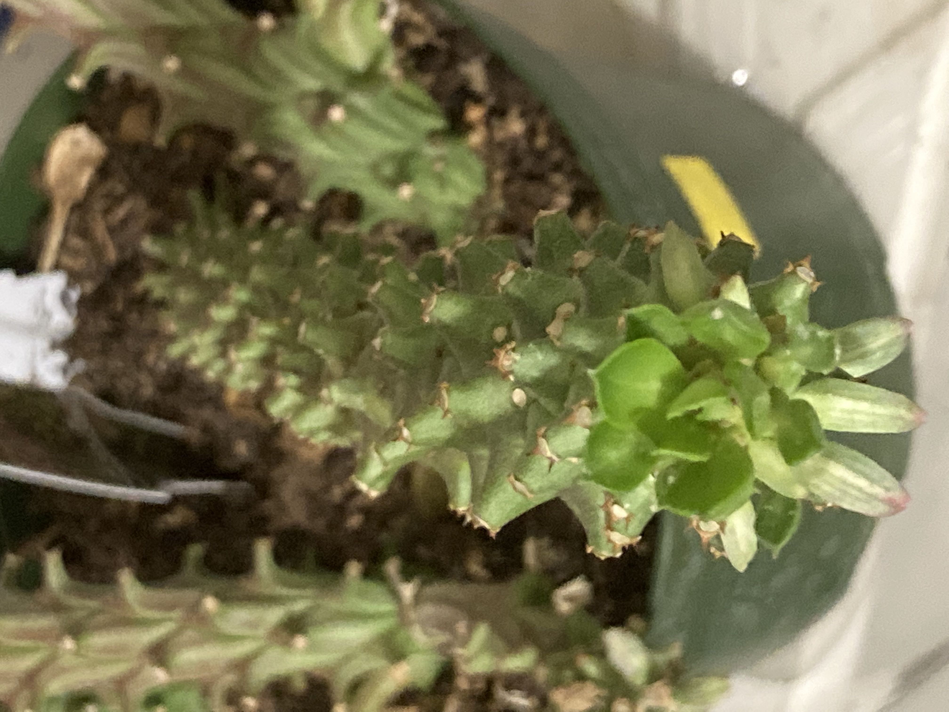 Photo from the post