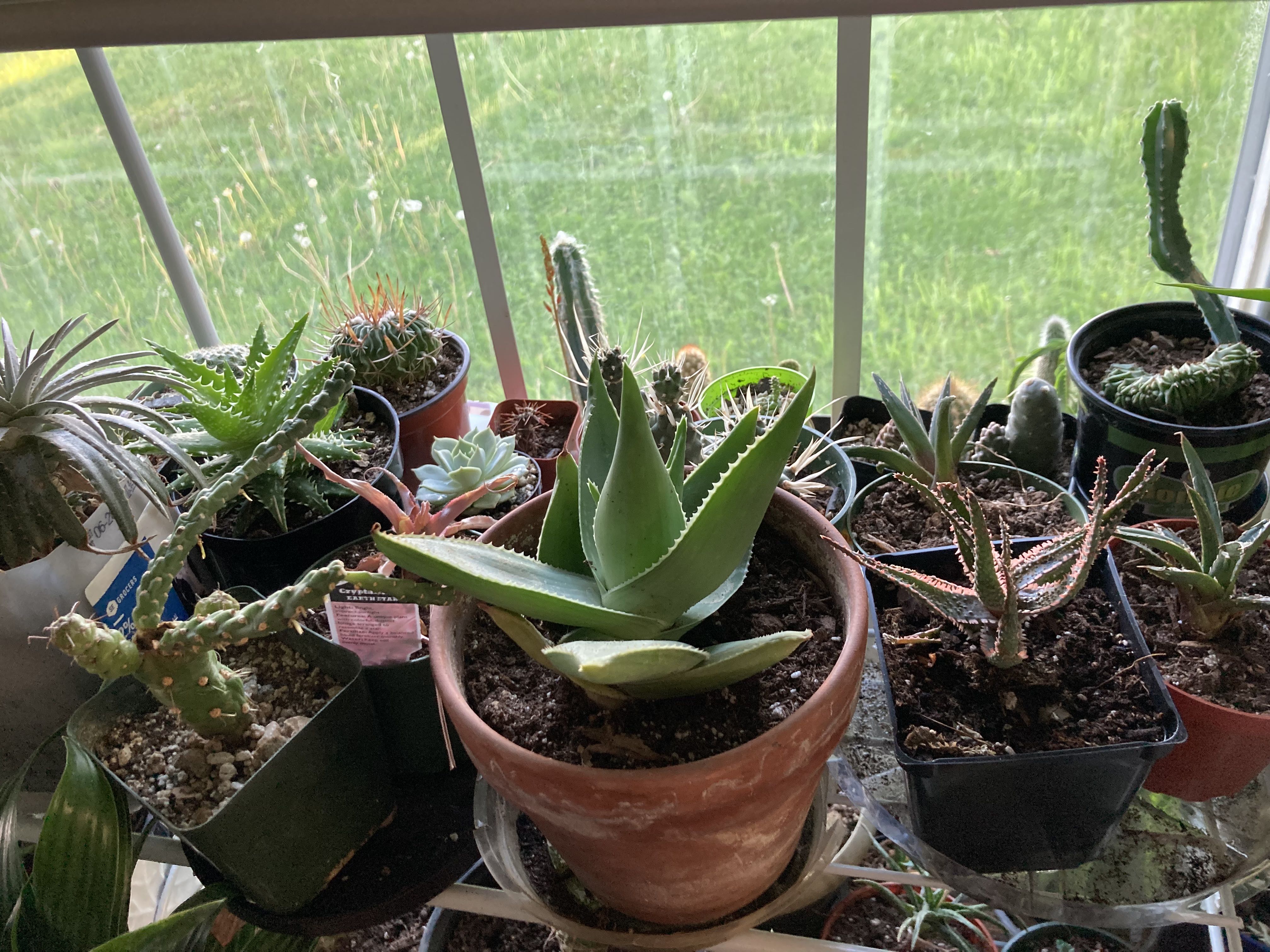 Photo from the post