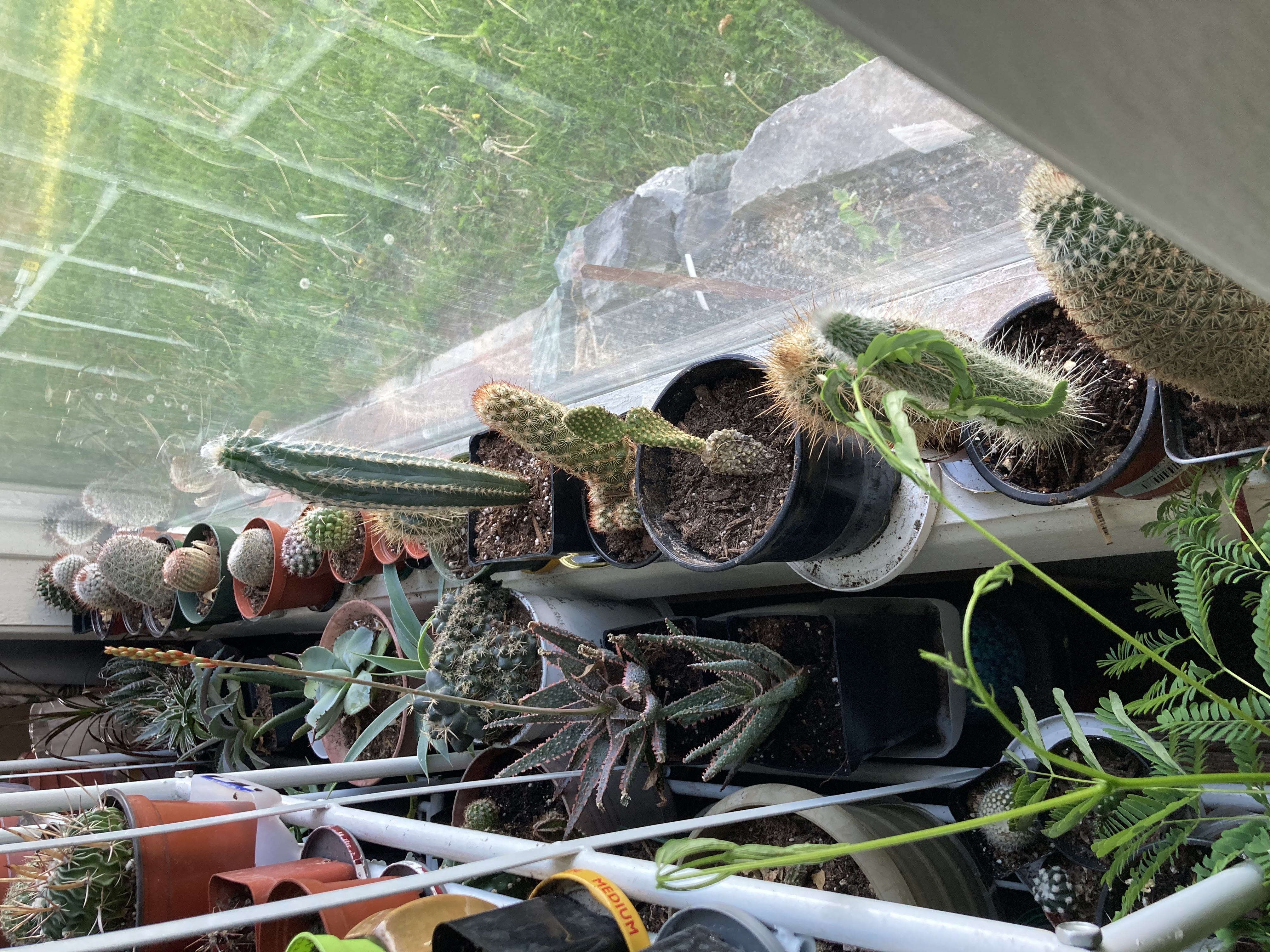 Photo from the post