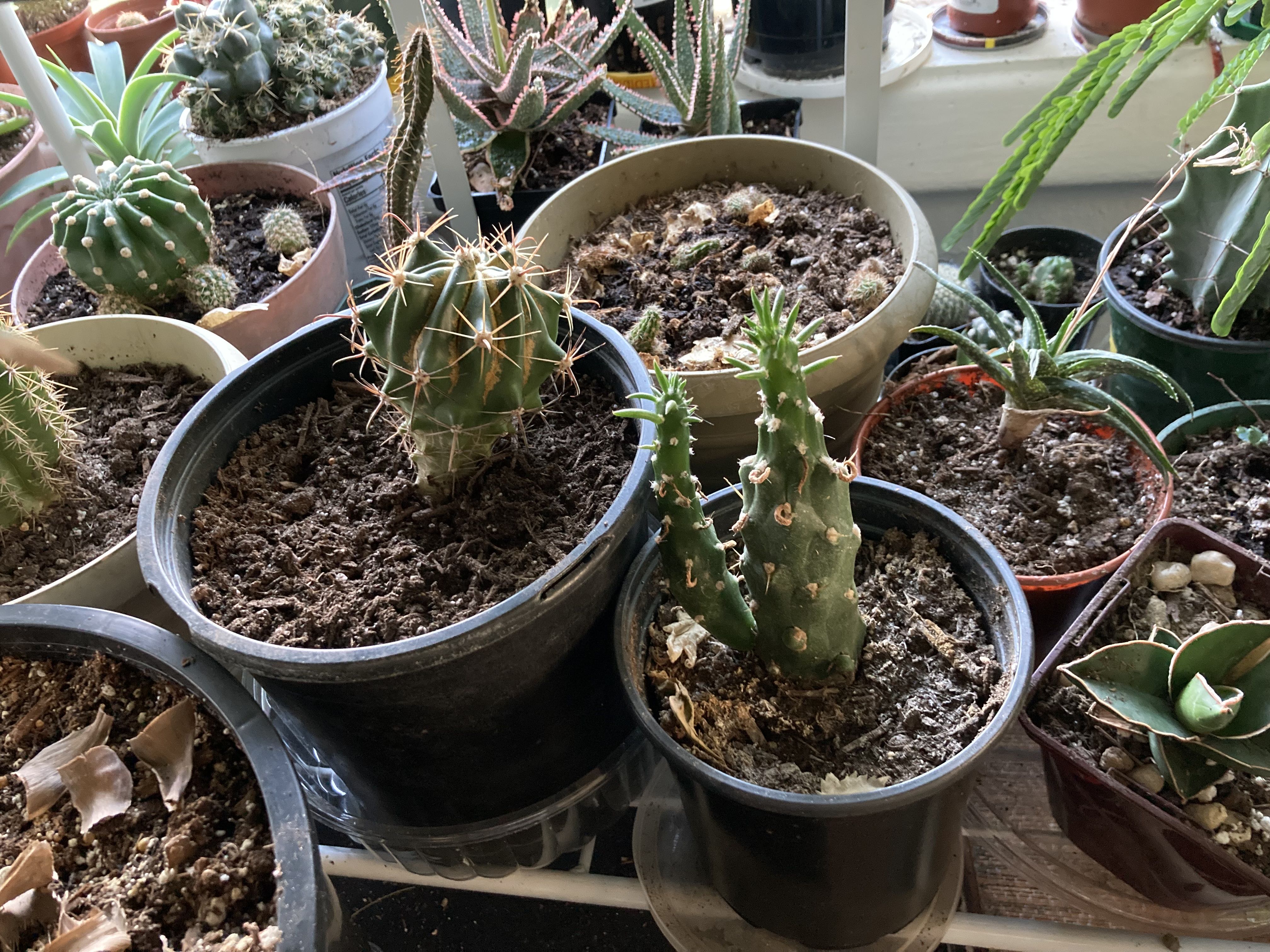 Photo from the post
