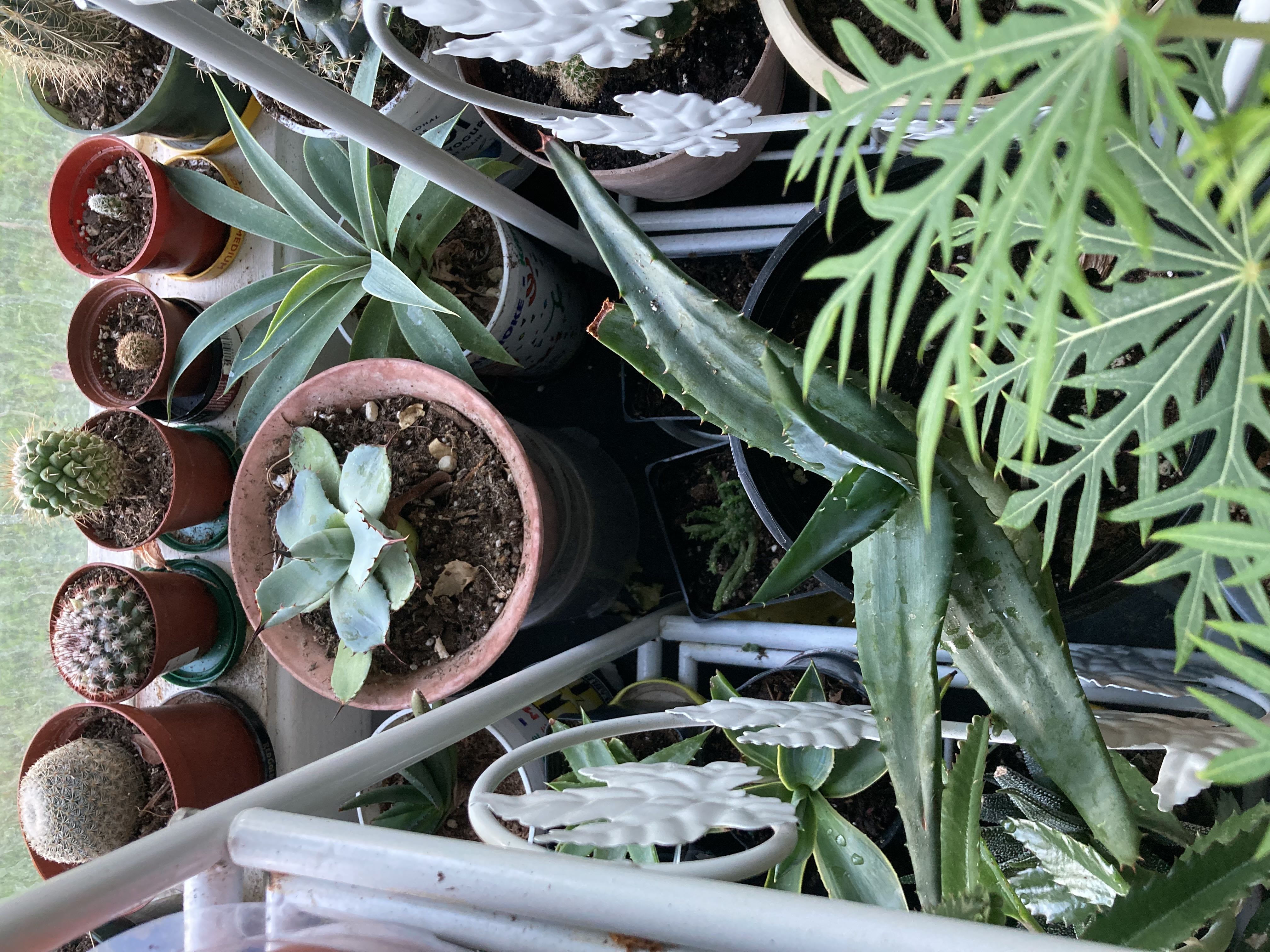 Photo from the post