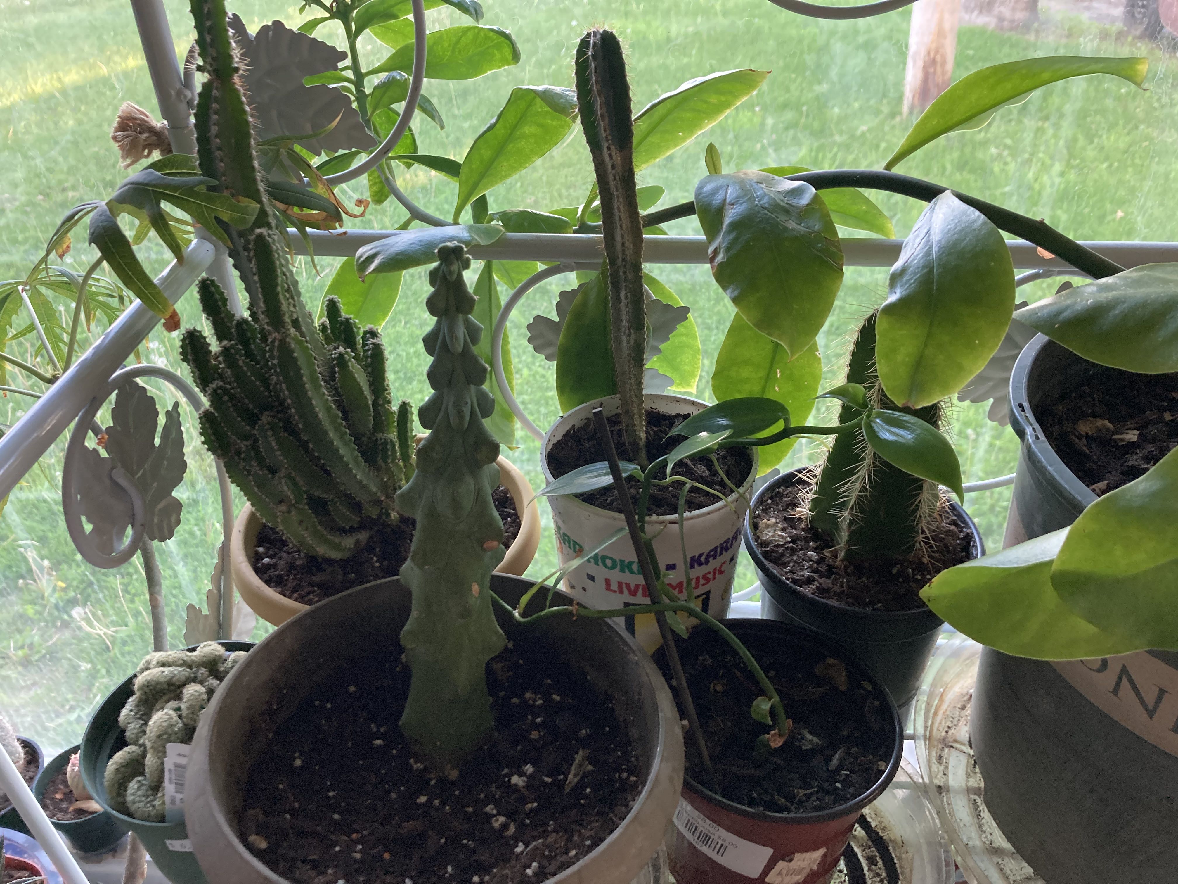 Photo from the post