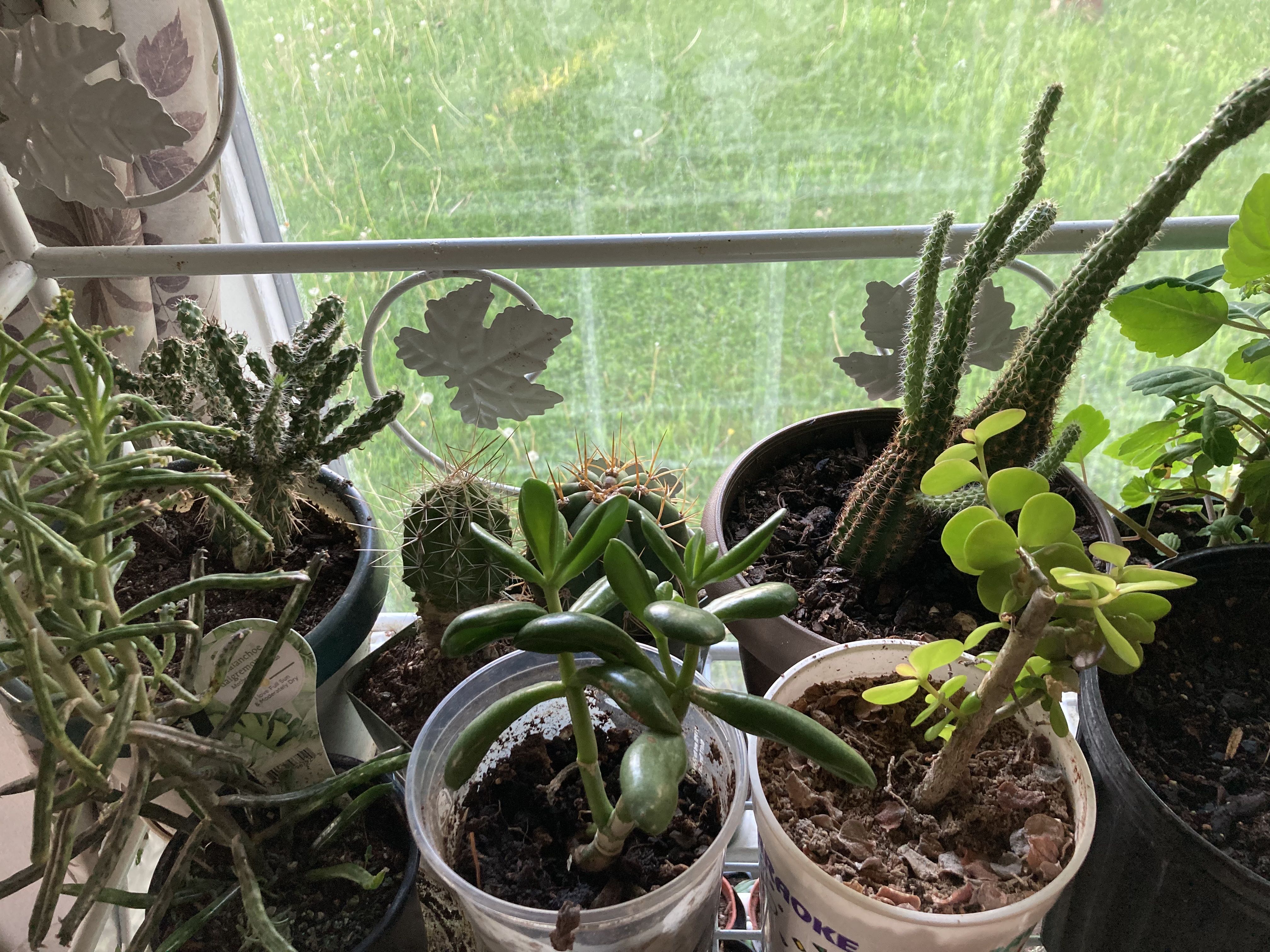 Photo from the post