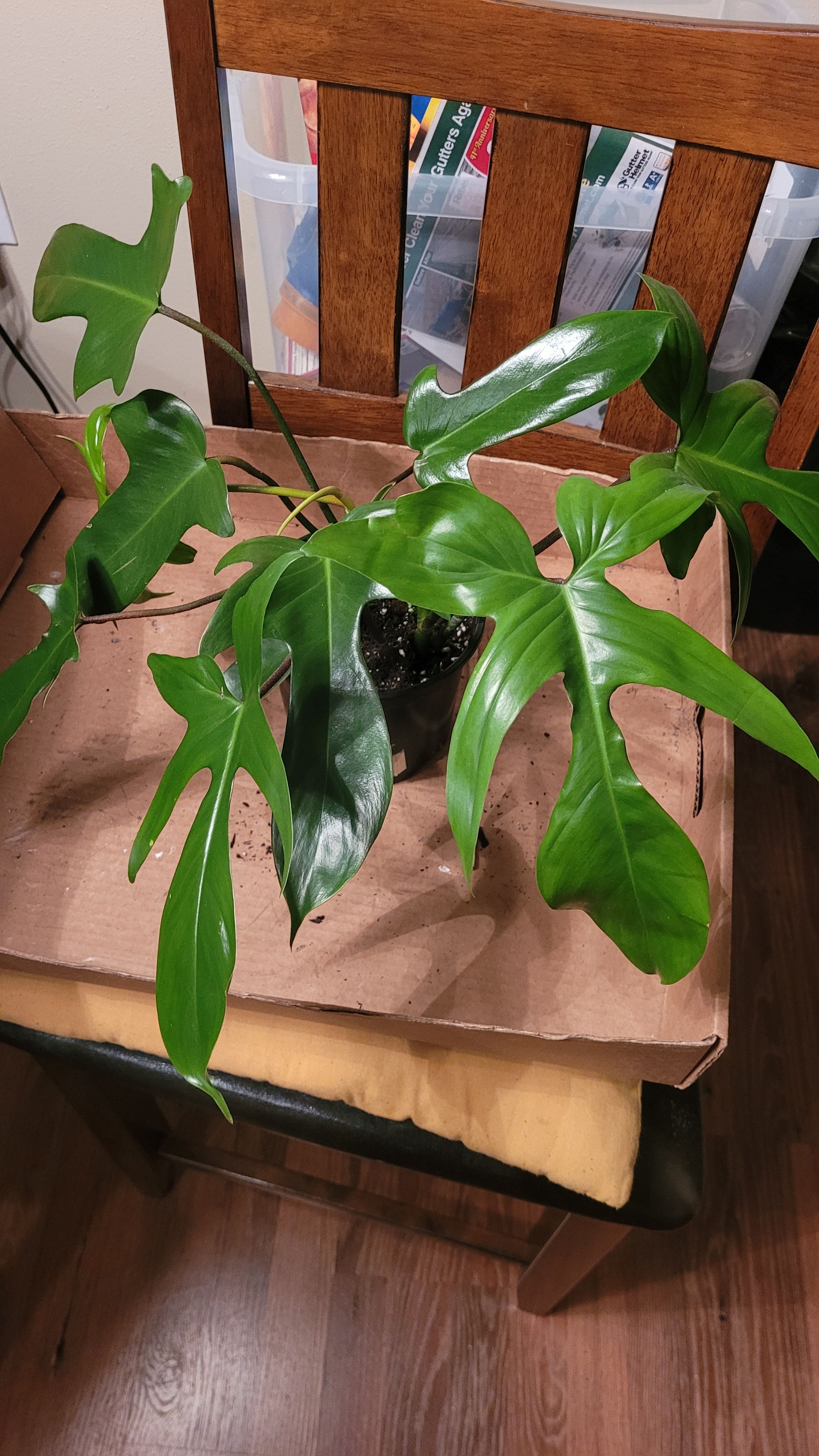Photo from the post