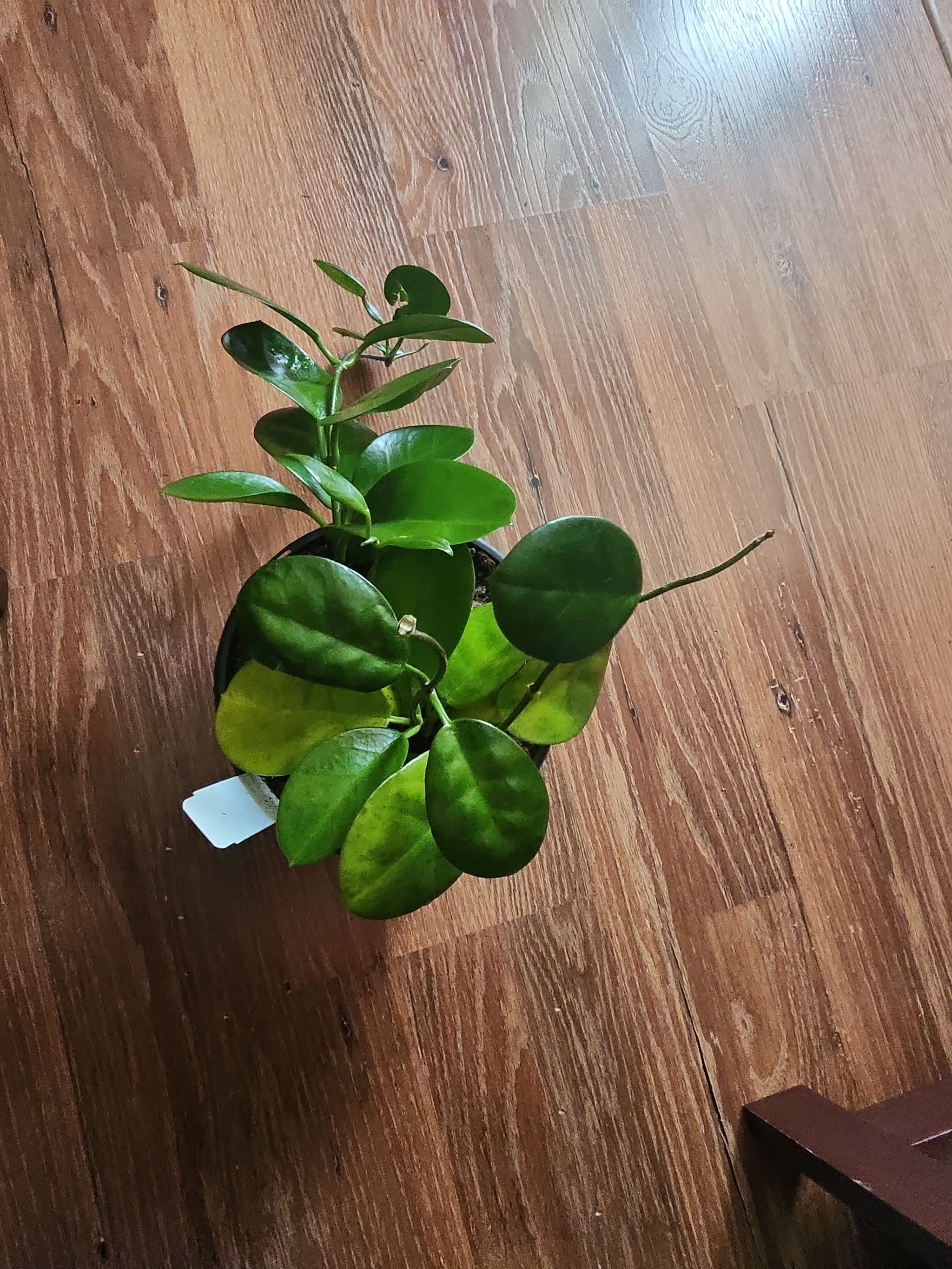 Photo from the post