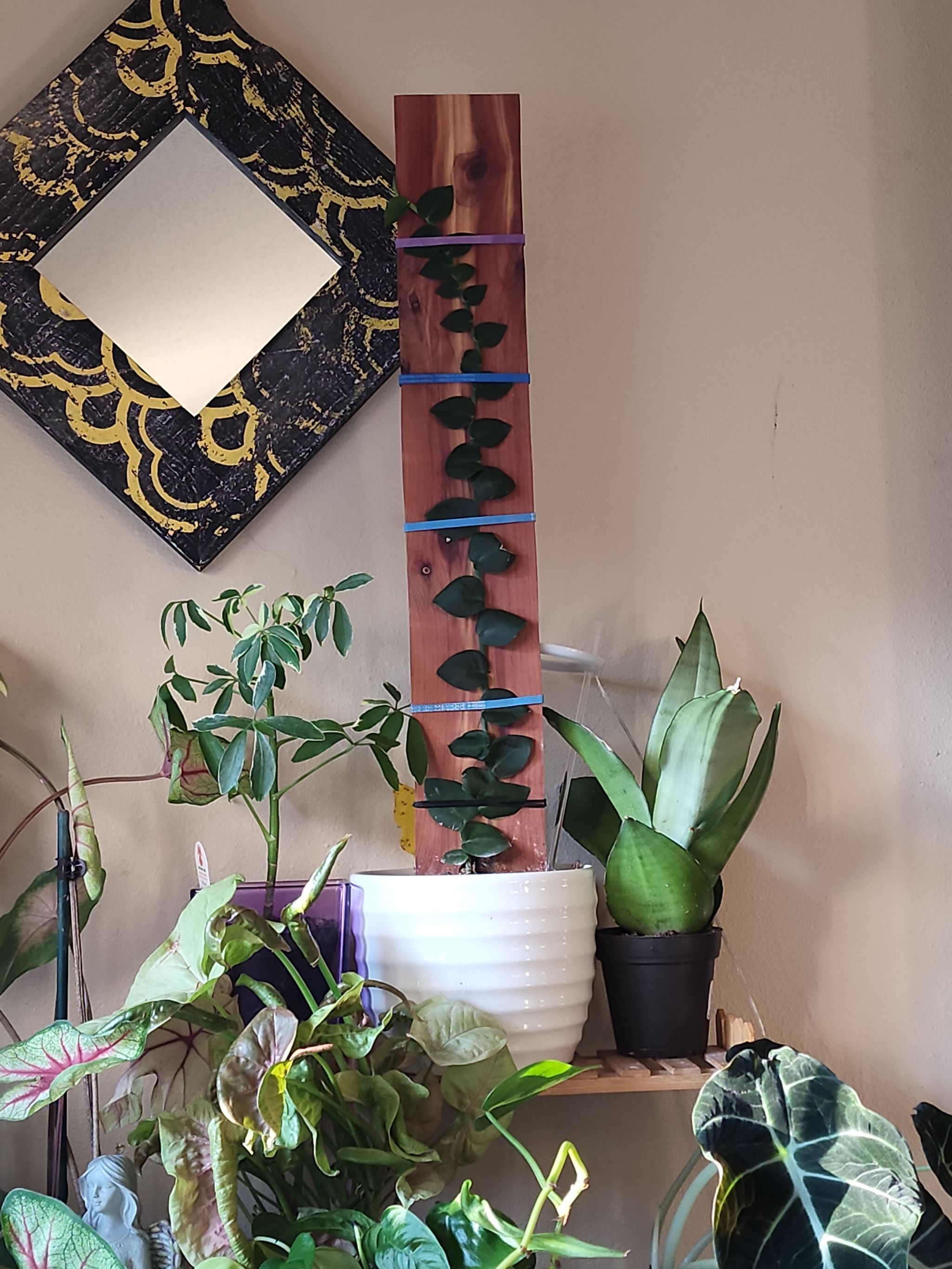 Photo from the post