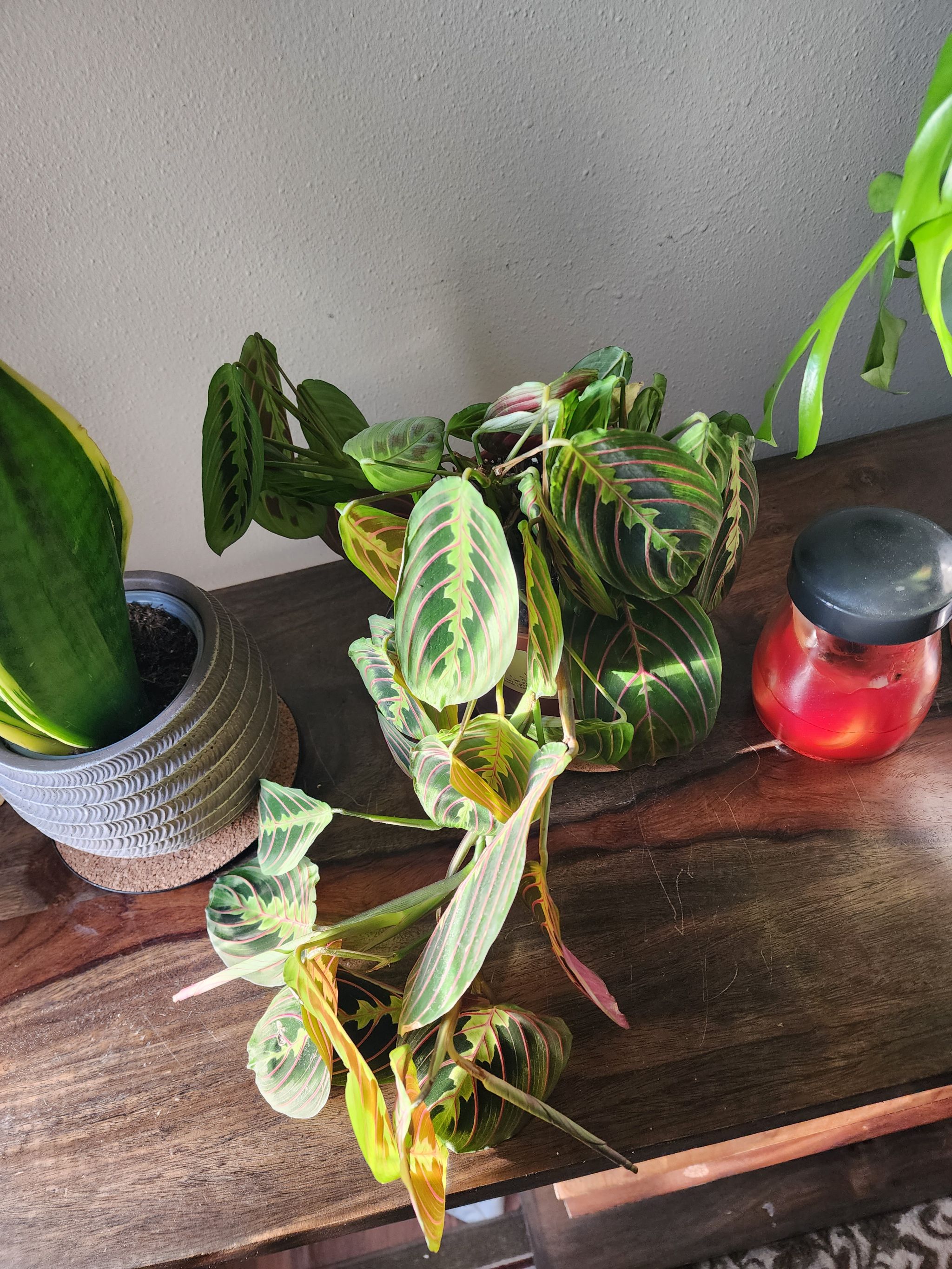 Photo from the post