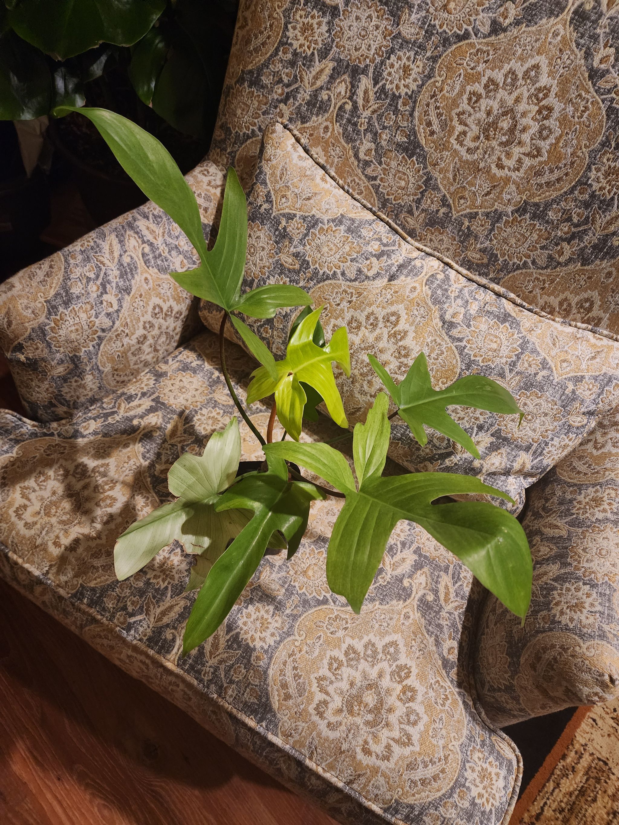 Photo from the post