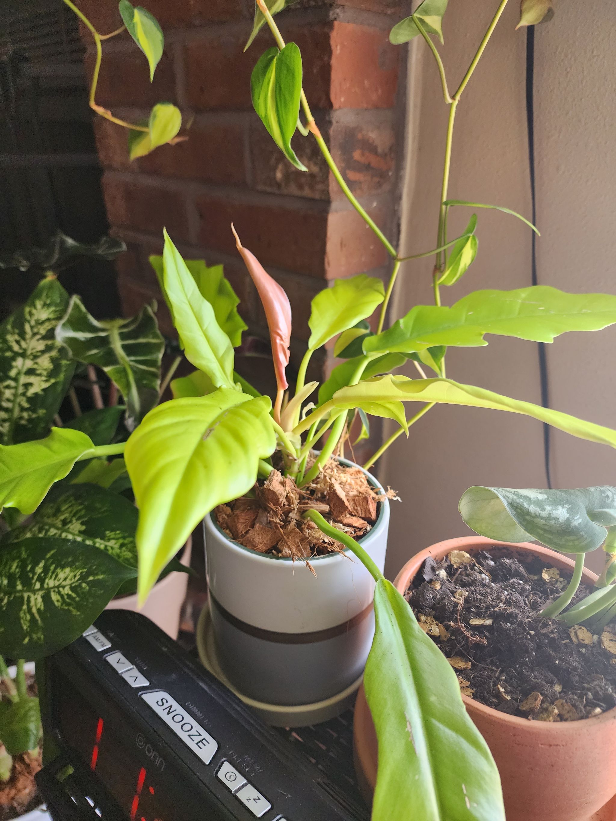 Photo from the post