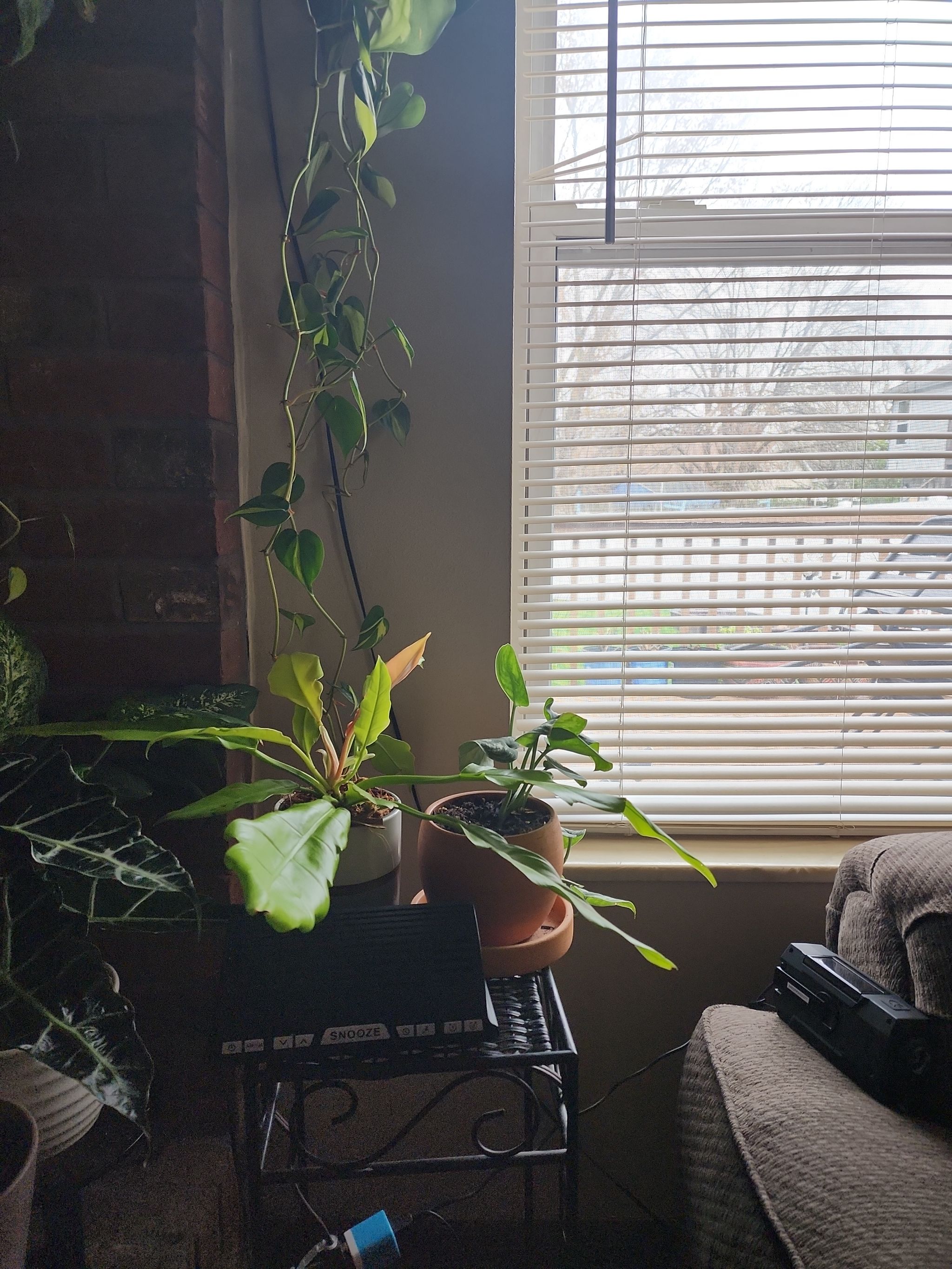 Photo from the post