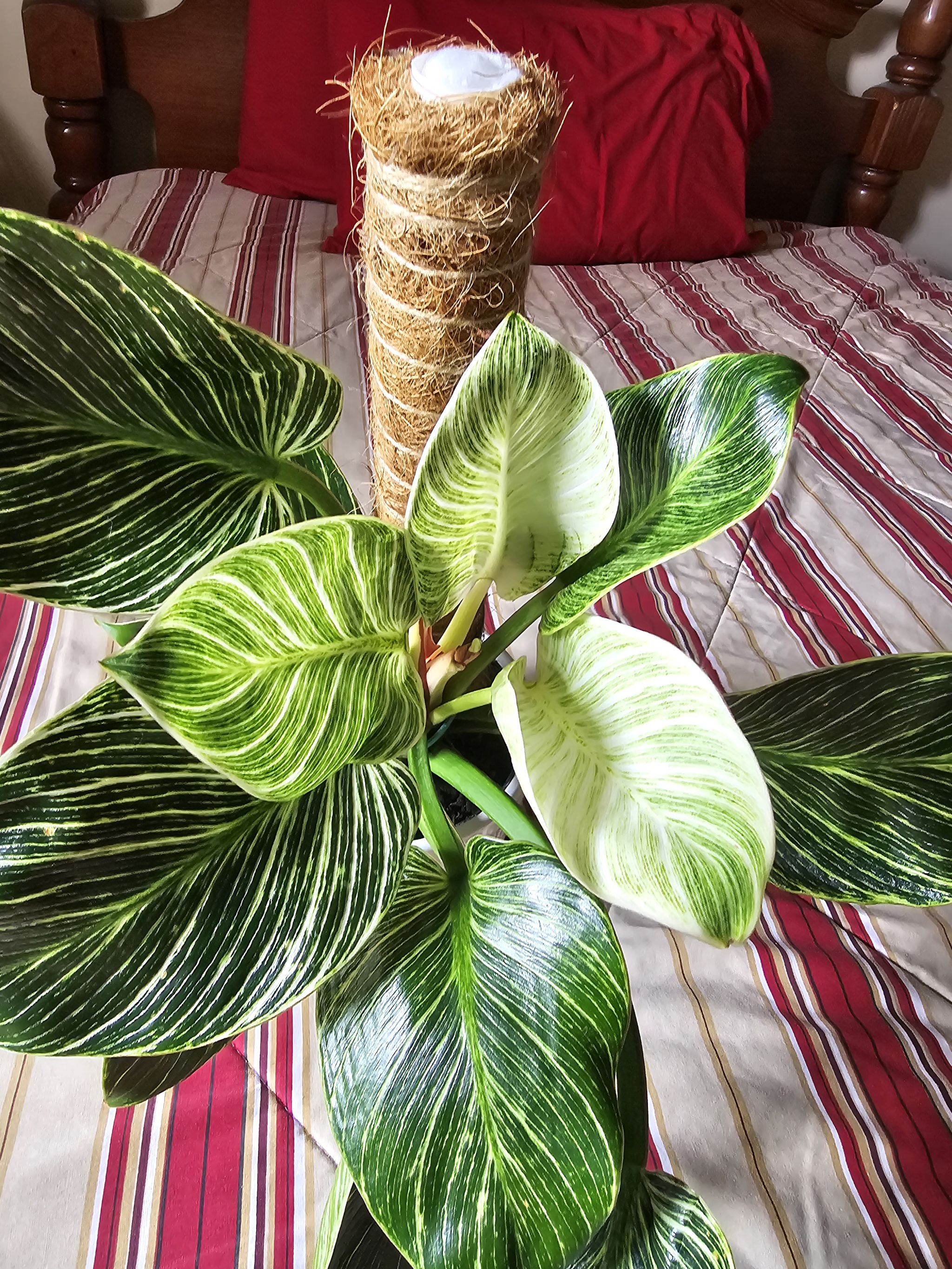 Photo from the post